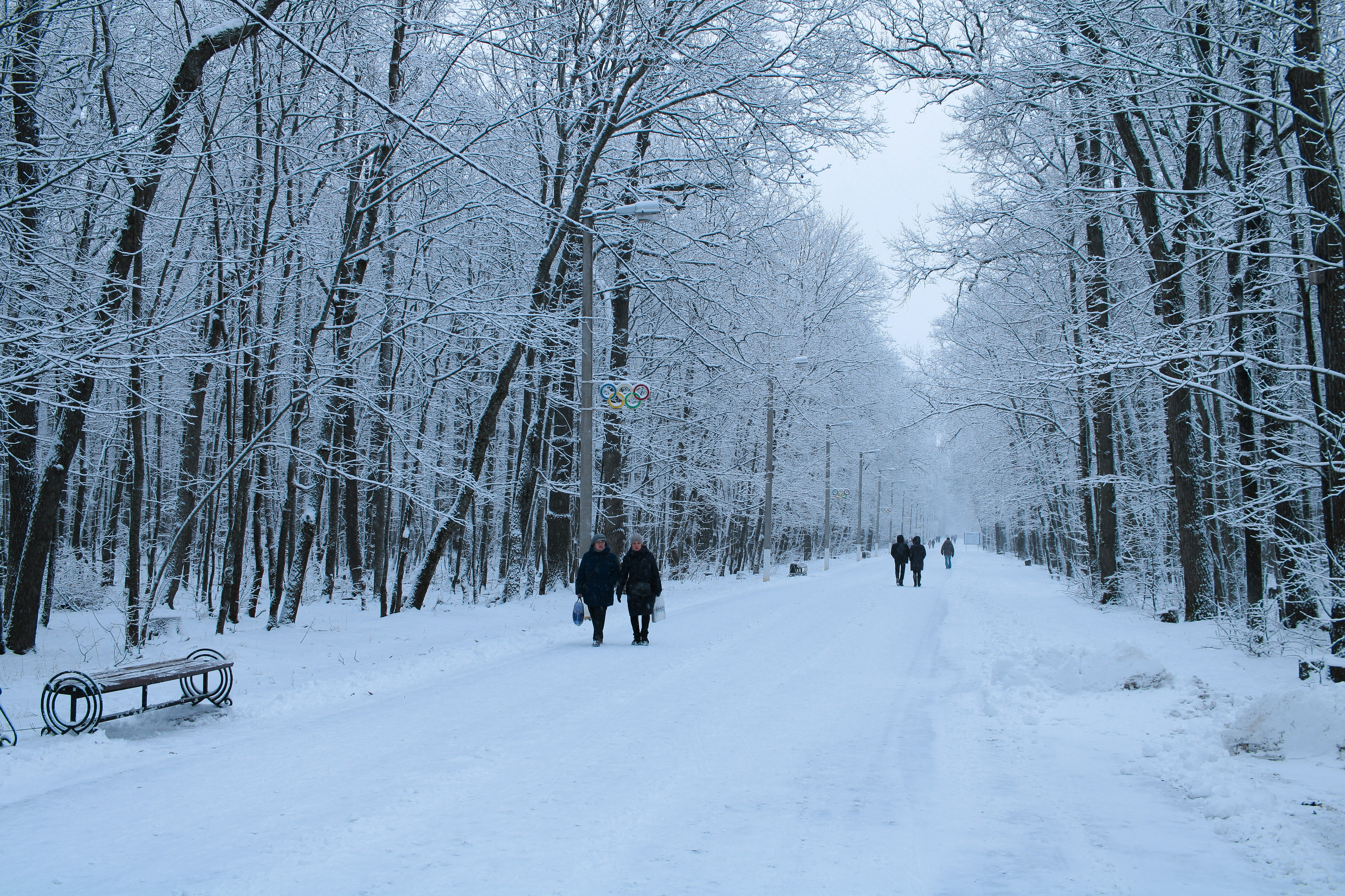 Photo by maksimzaviktorin