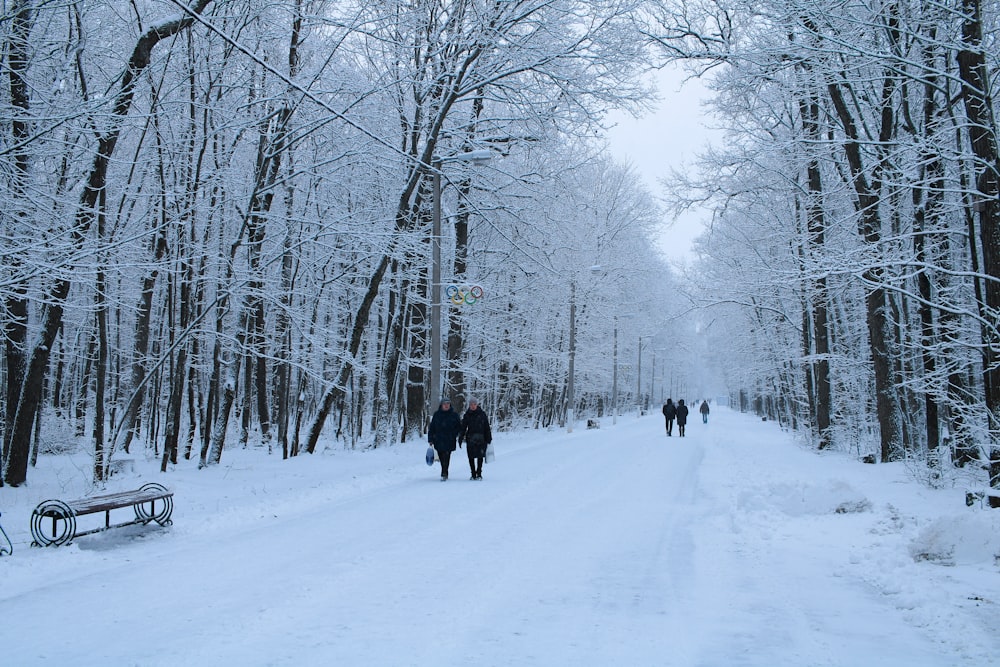 a group of people walking down a snow covered road