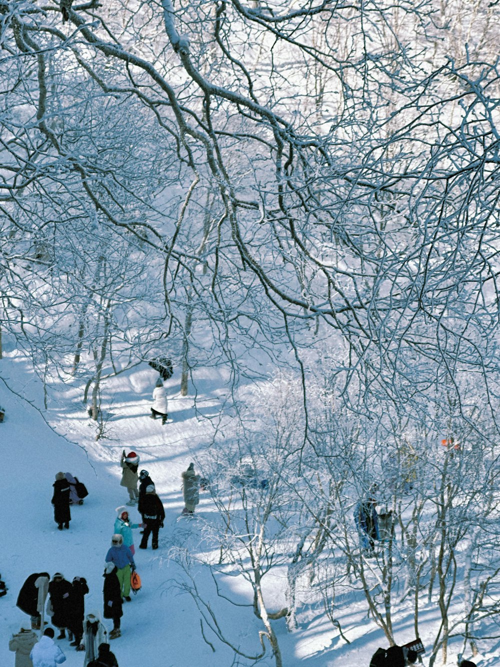 a group of people standing on top of a snow covered slope