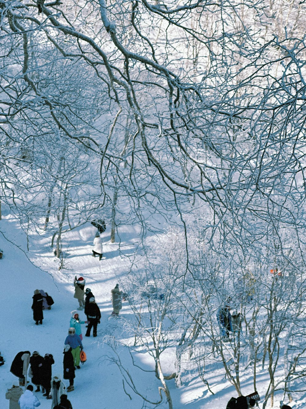 um grupo de pessoas em pé no topo de uma encosta coberta de neve