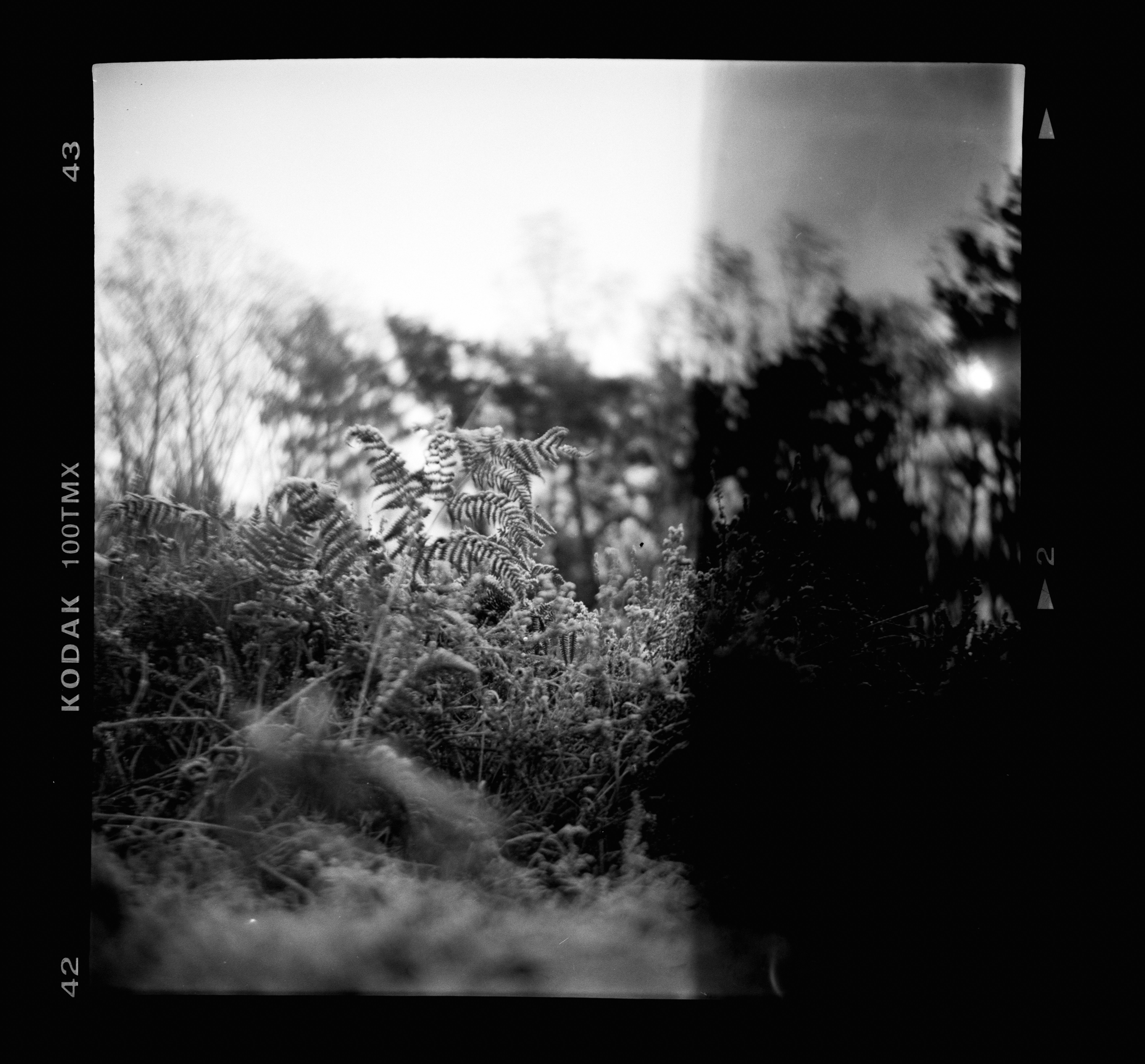 Photo by anniespratt