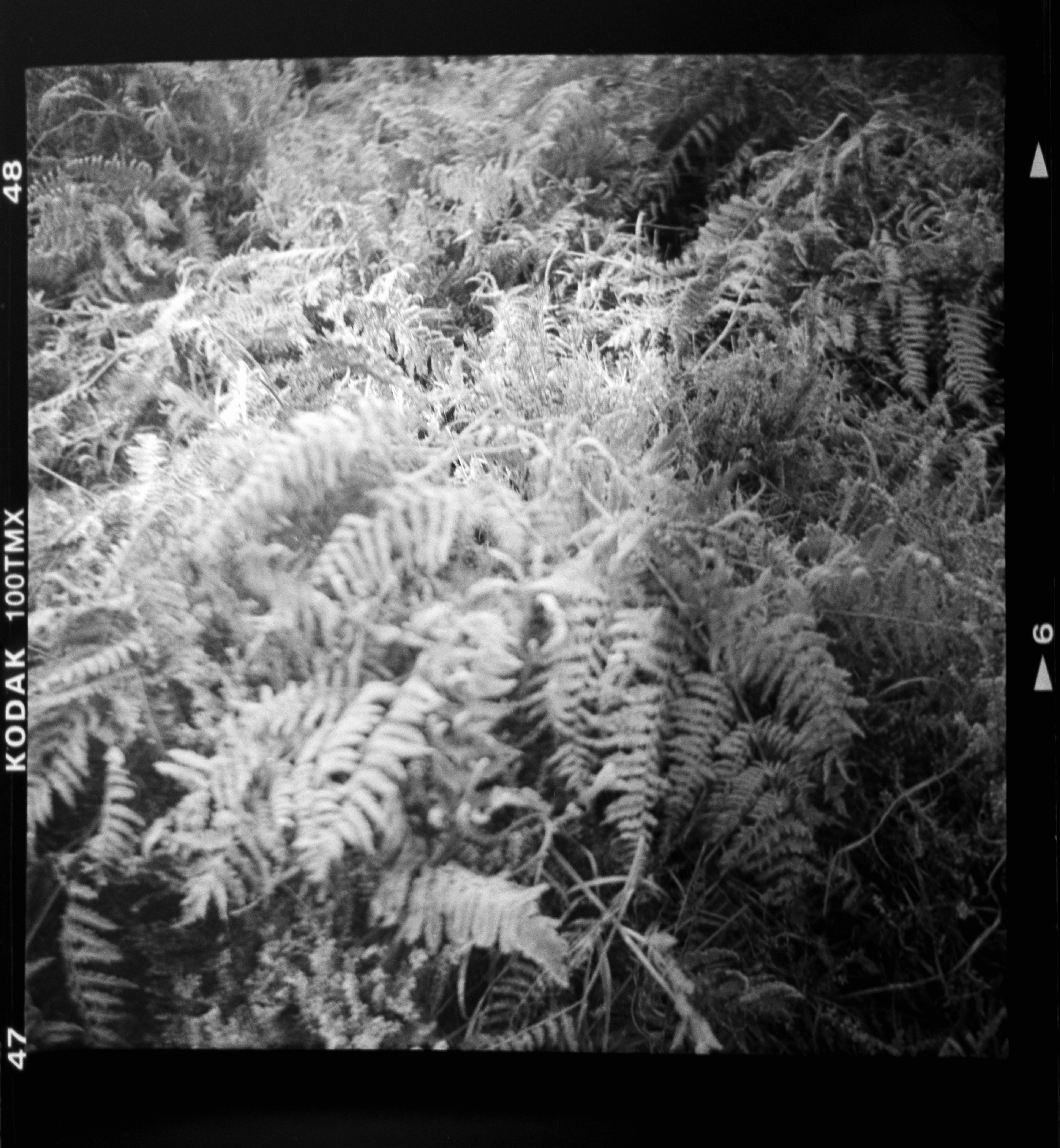 Photo by anniespratt