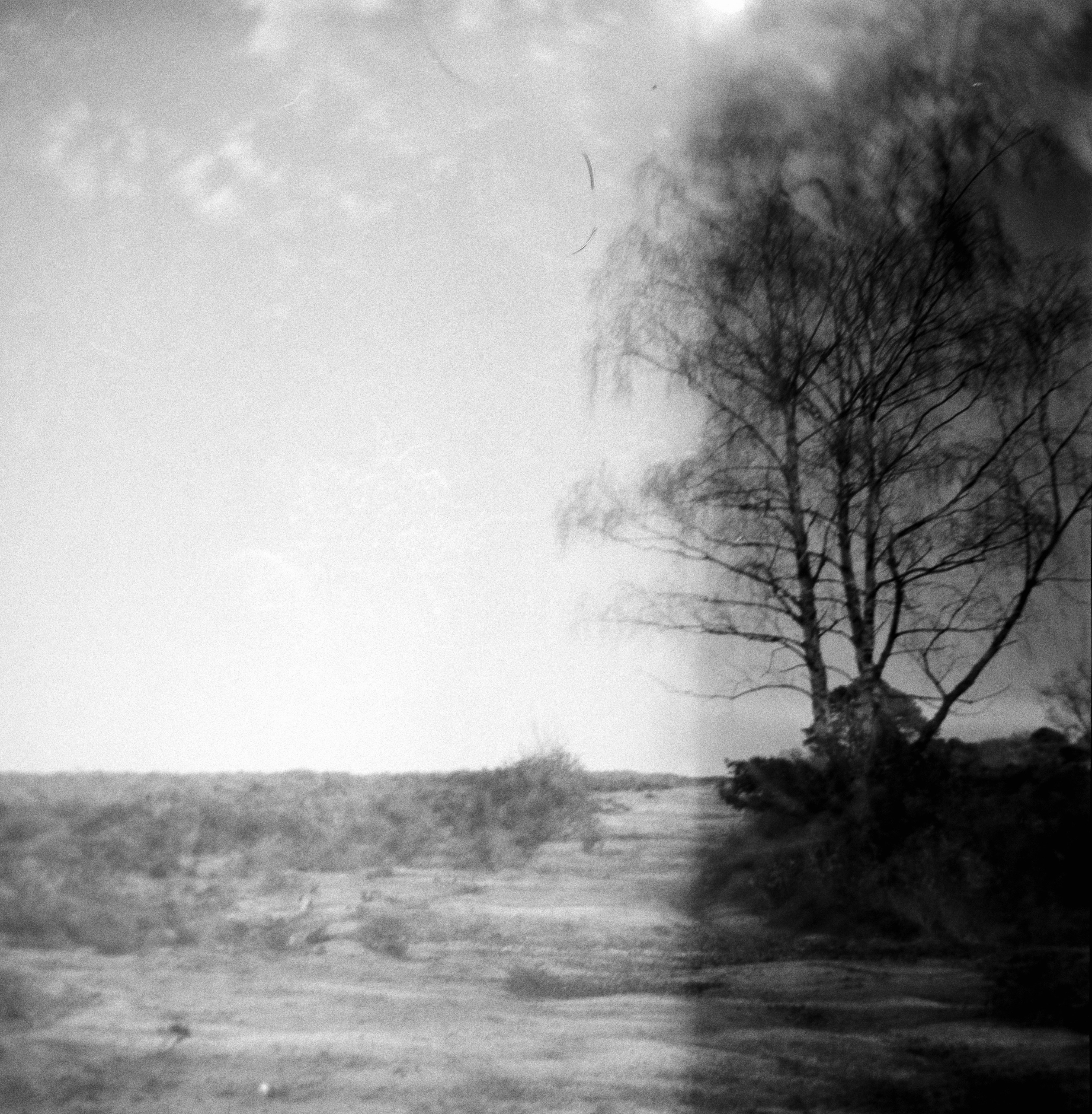 Photo by anniespratt