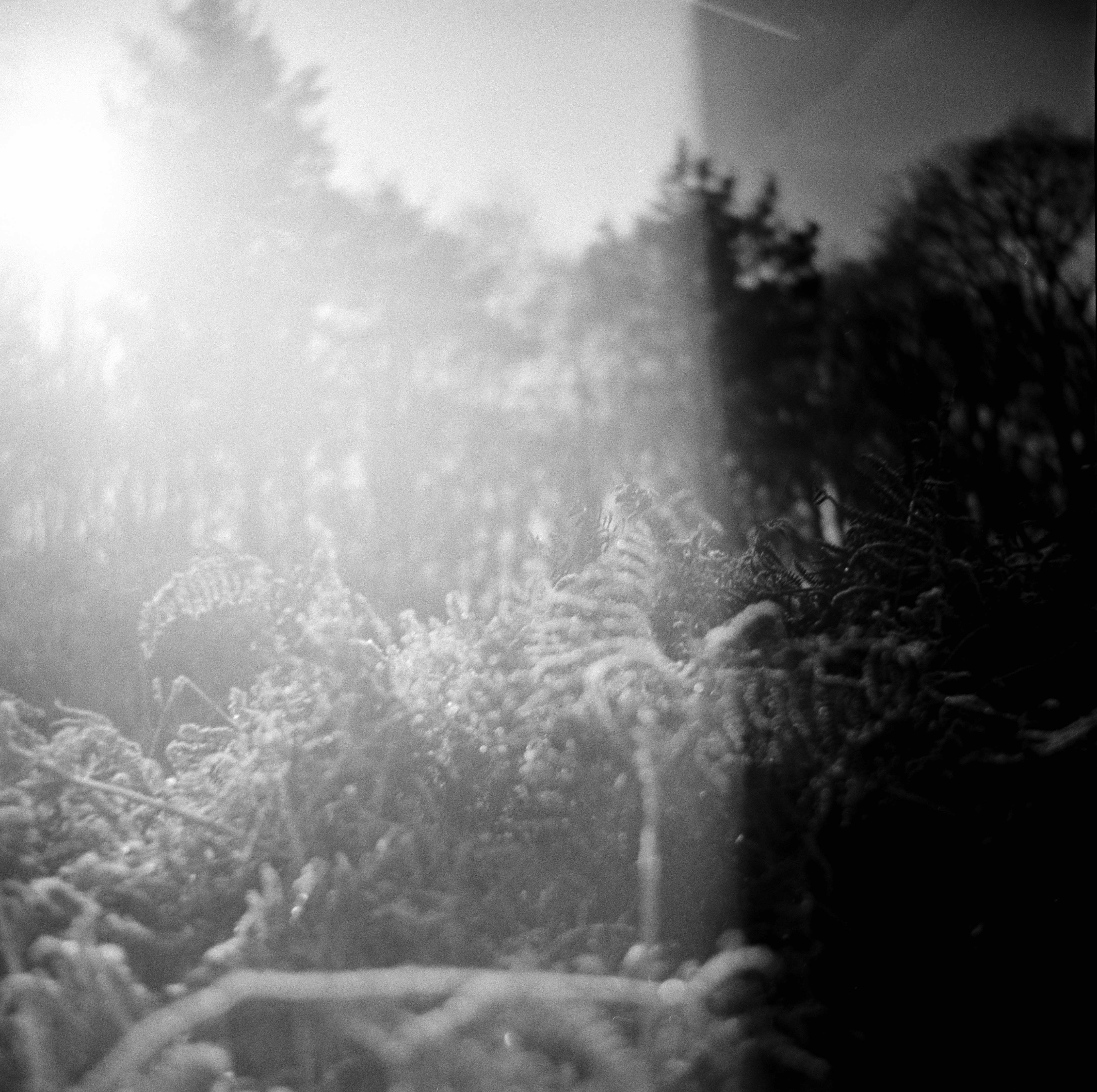 Photo by anniespratt