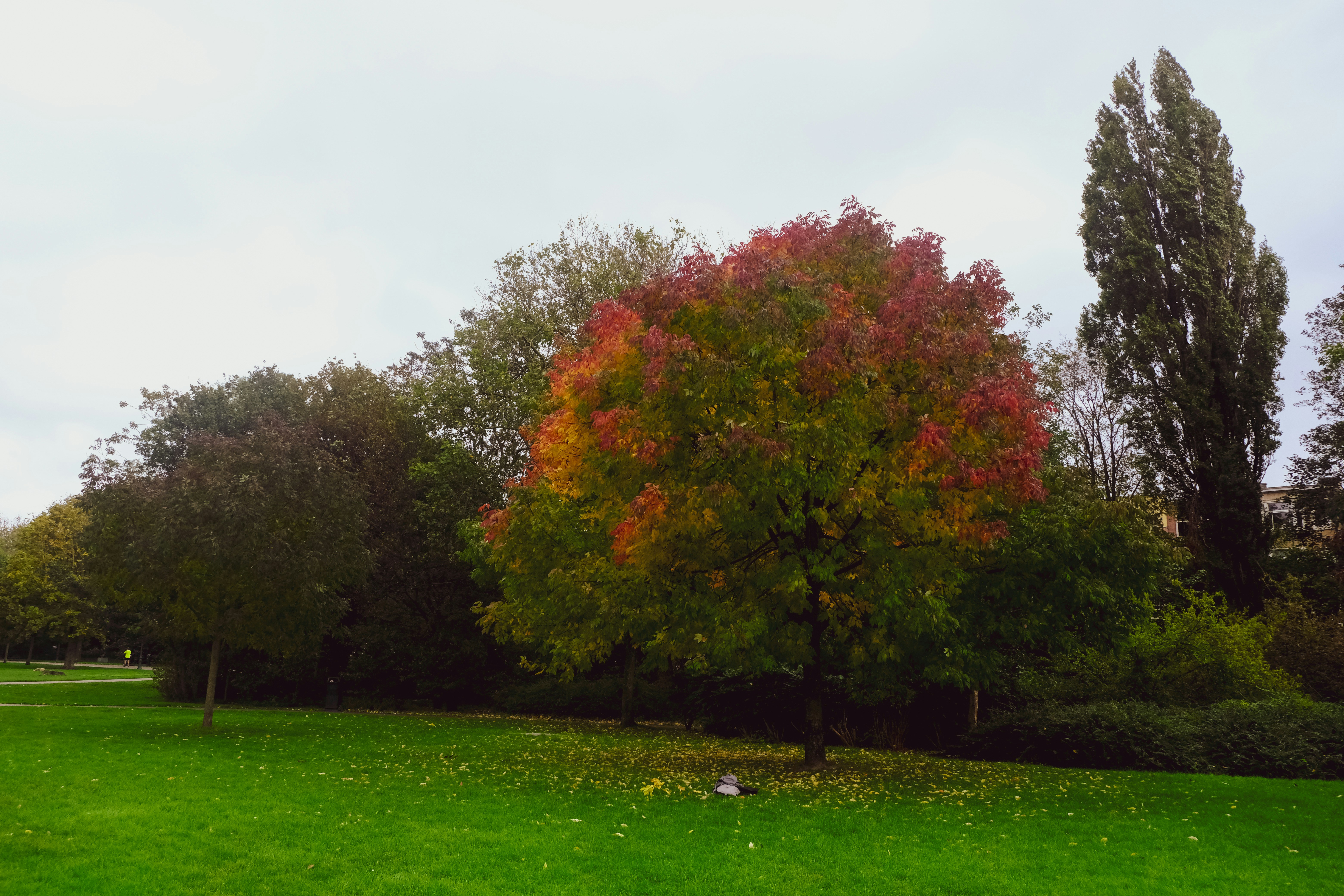 Photo by frequancytimespace