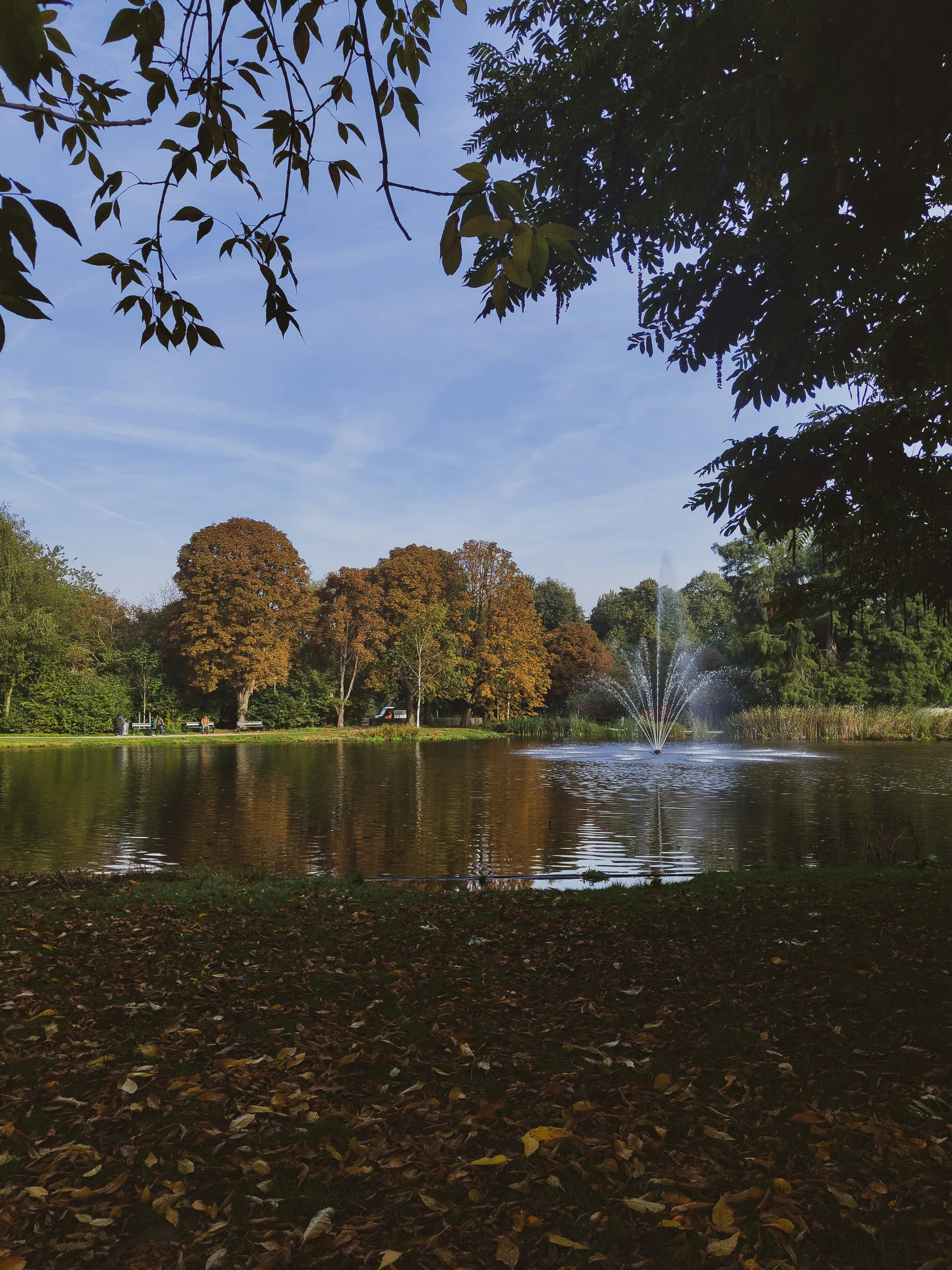 Photo by frequancytimespace