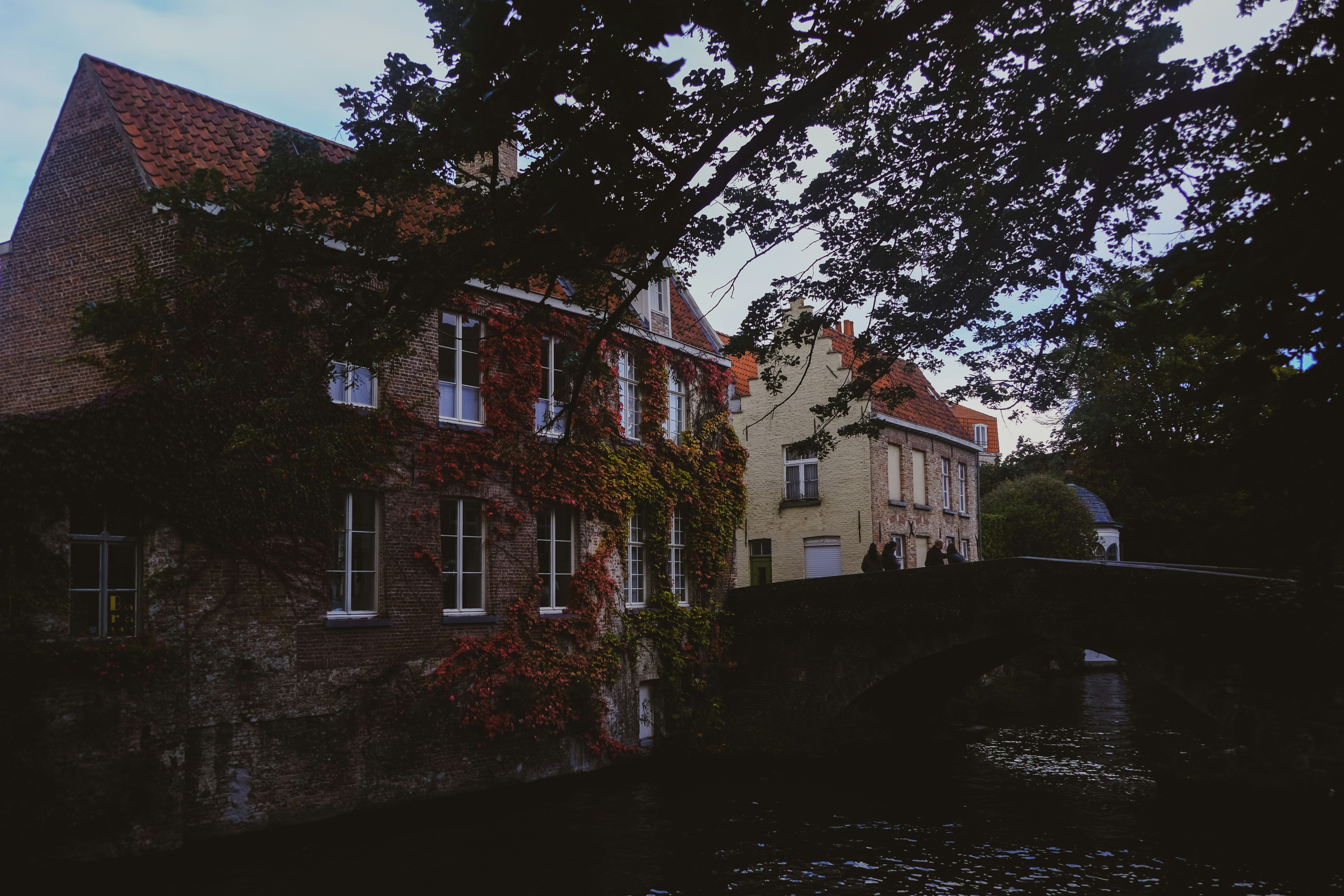 Photo by frequancytimespace