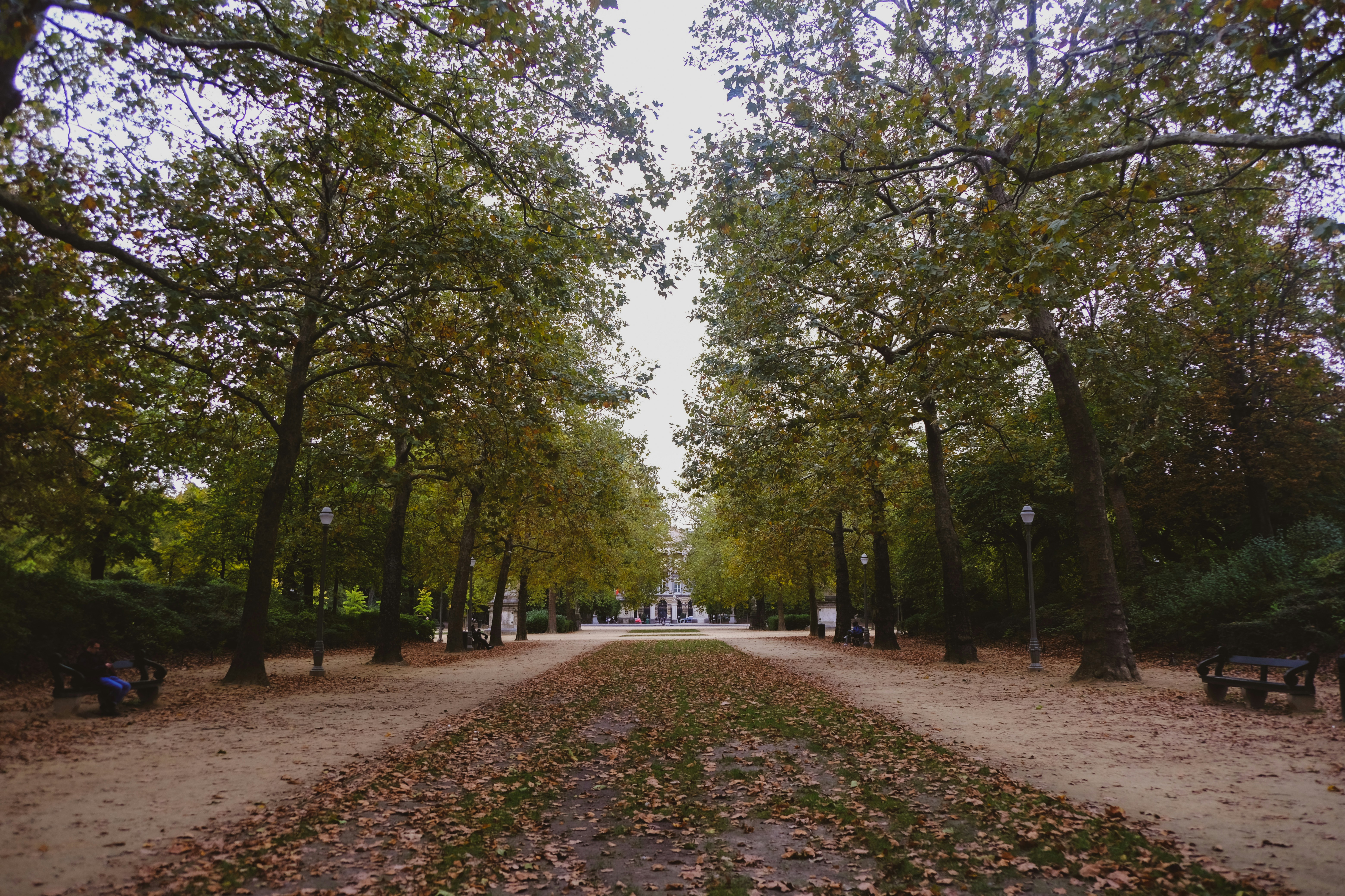 Photo by frequancytimespace