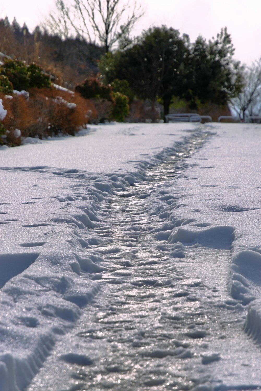 a path made of snow with trees in the background