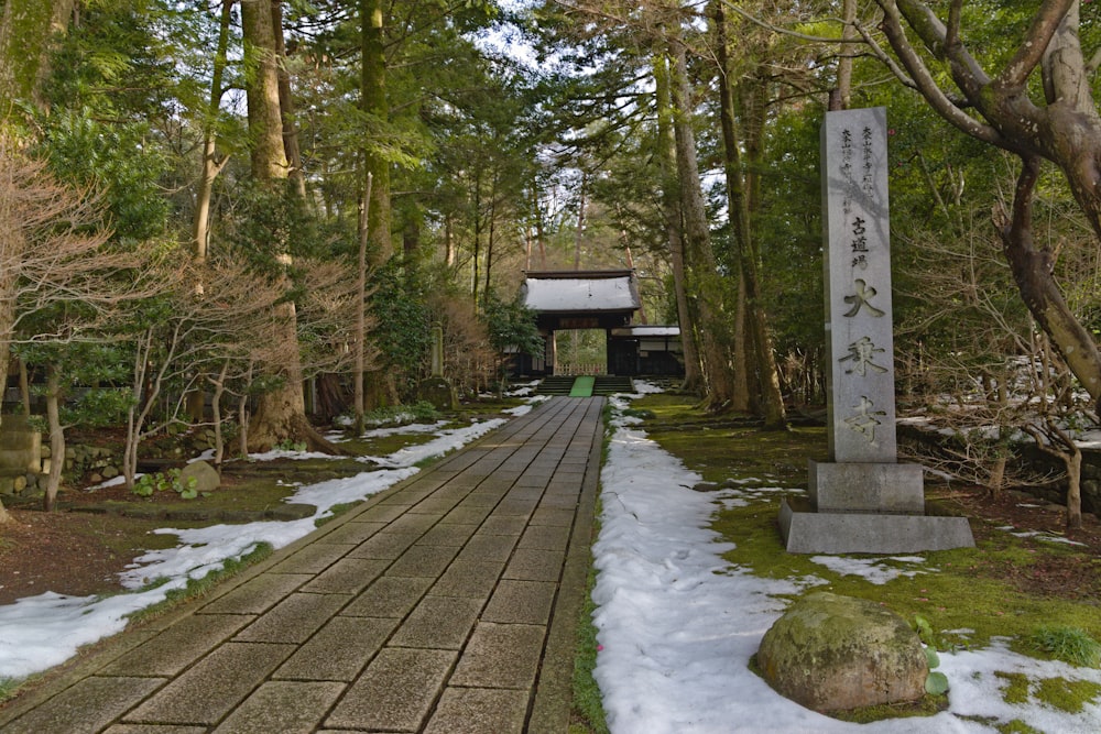 a walkway in a forest with snow on the ground
