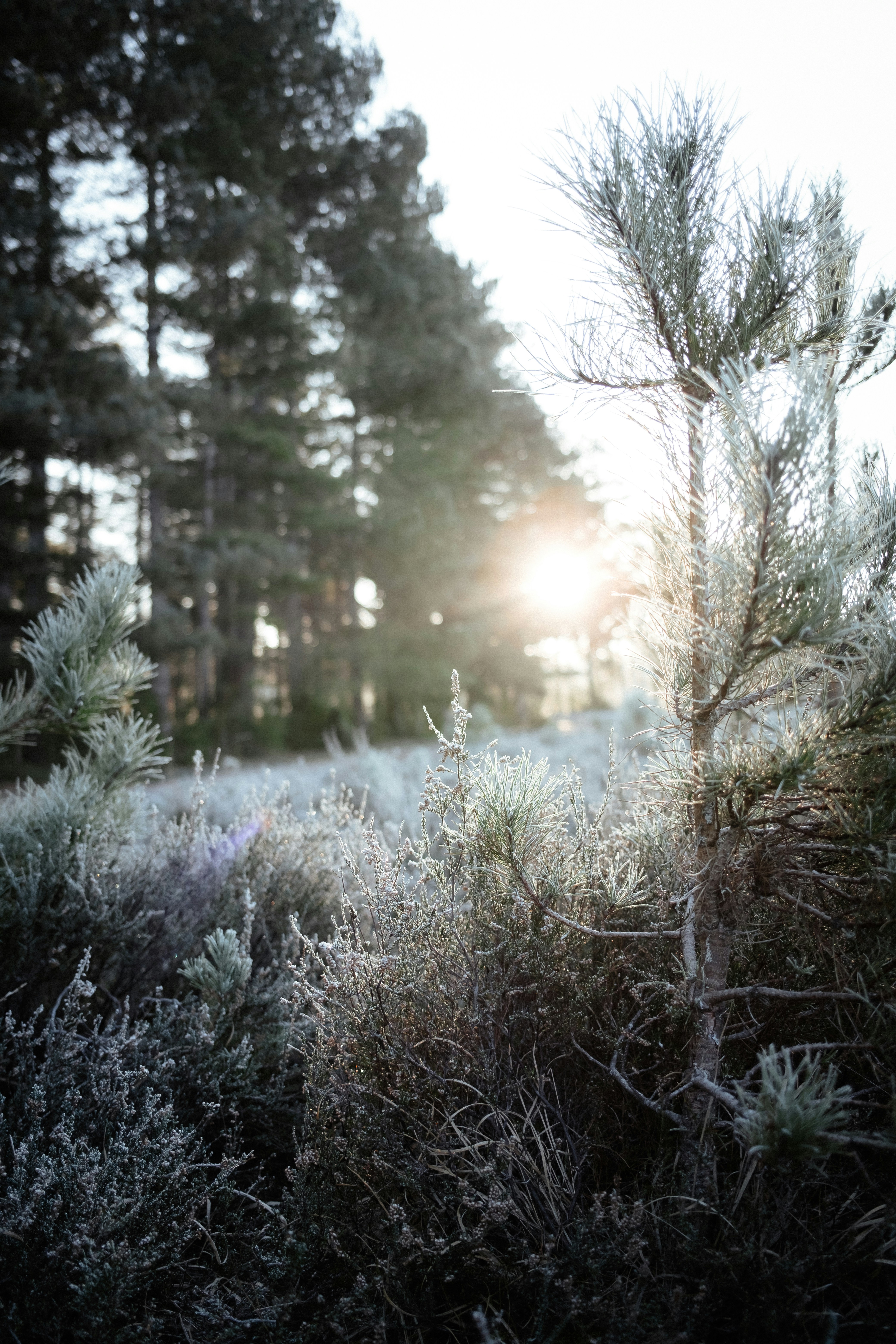 Photo by anniespratt