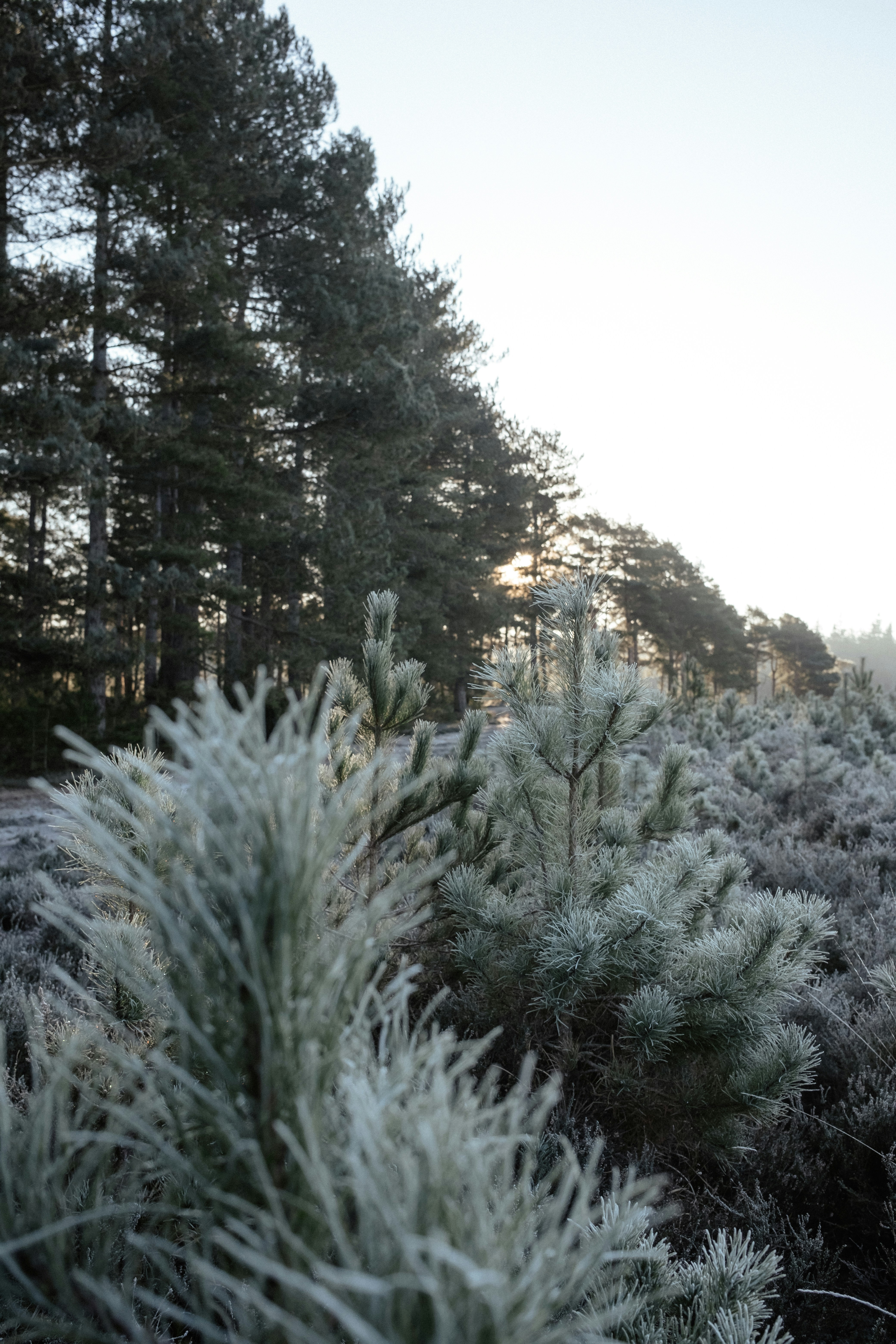 Photo by anniespratt