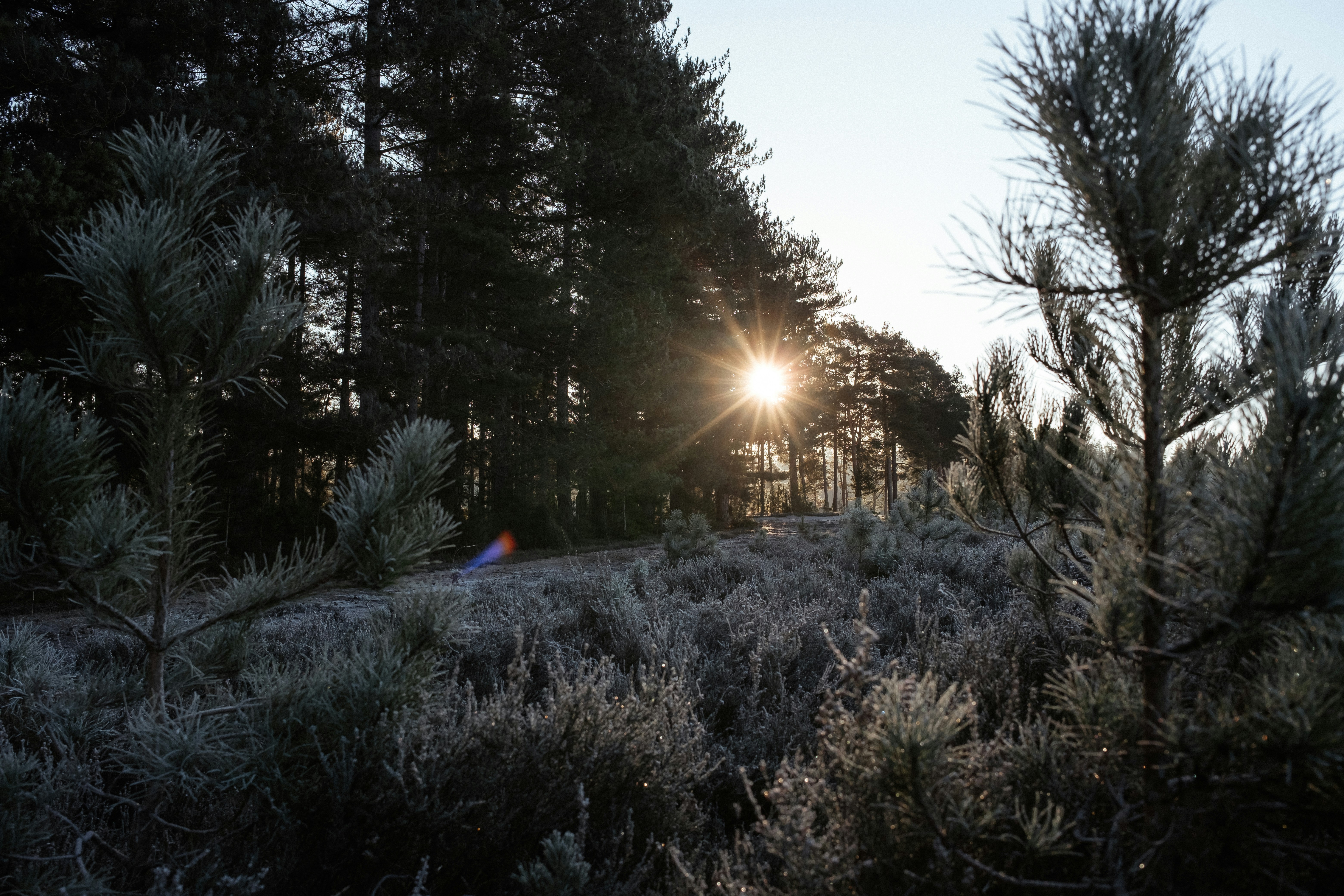 Photo by anniespratt