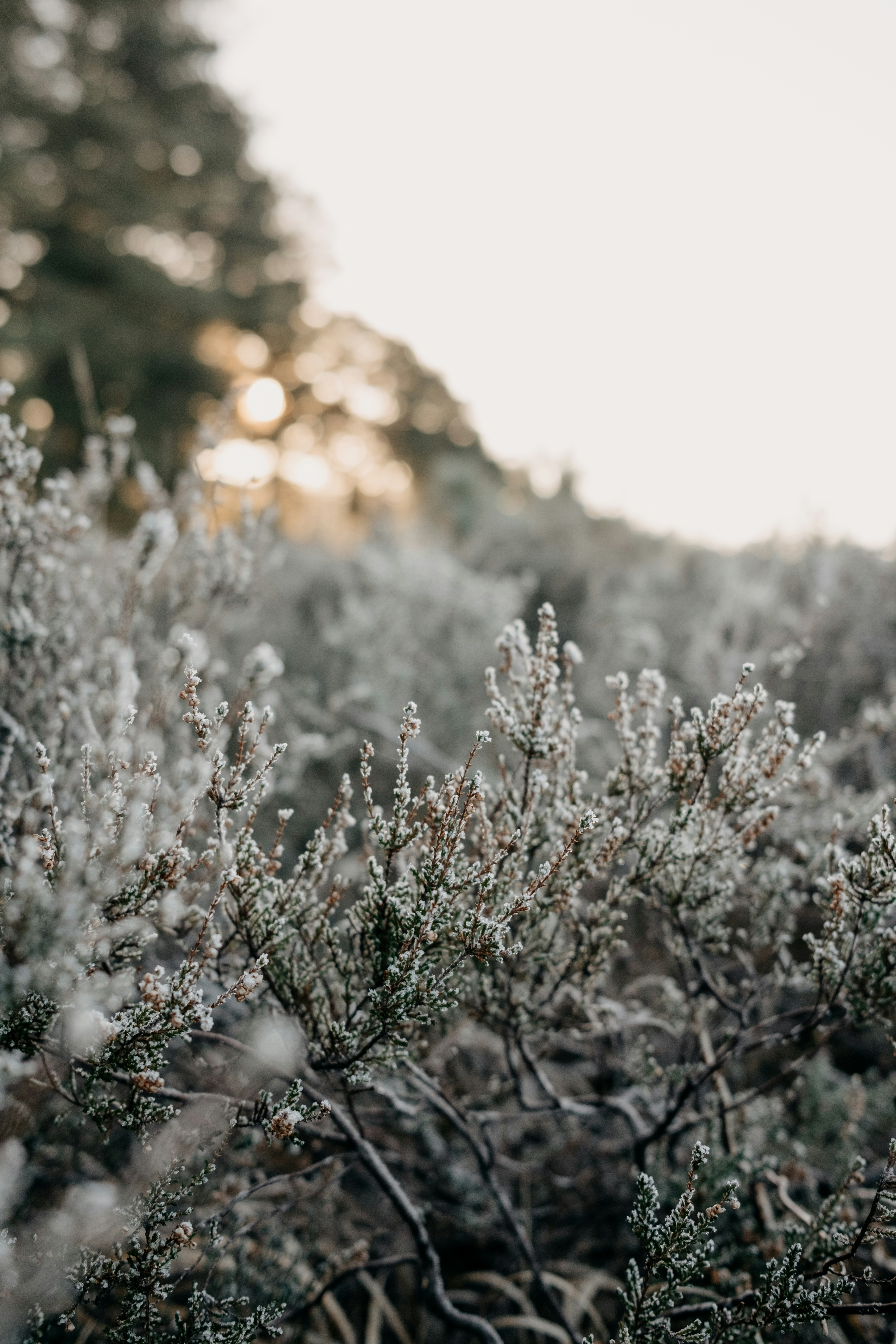 Photo by anniespratt