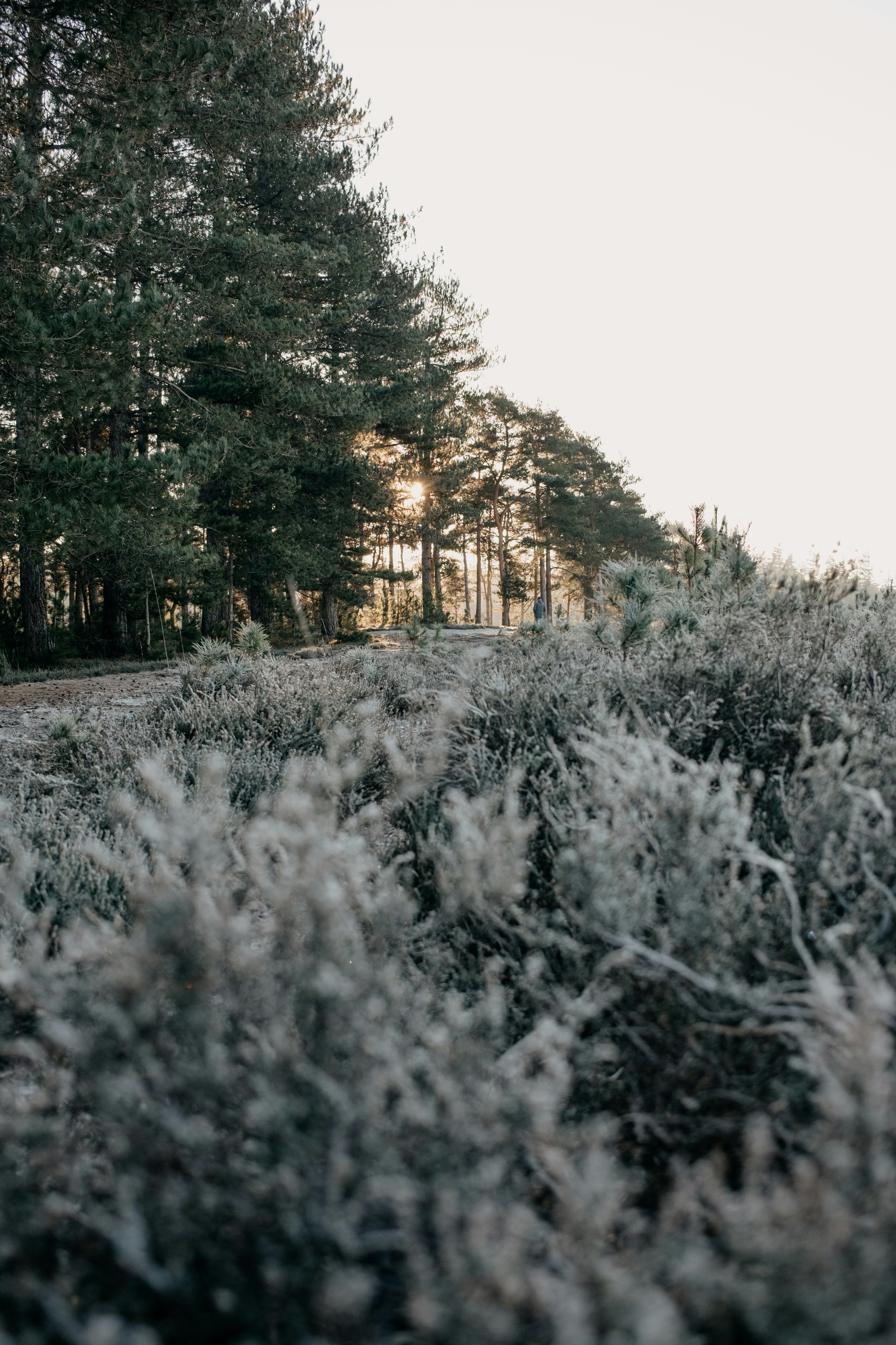 Photo by anniespratt