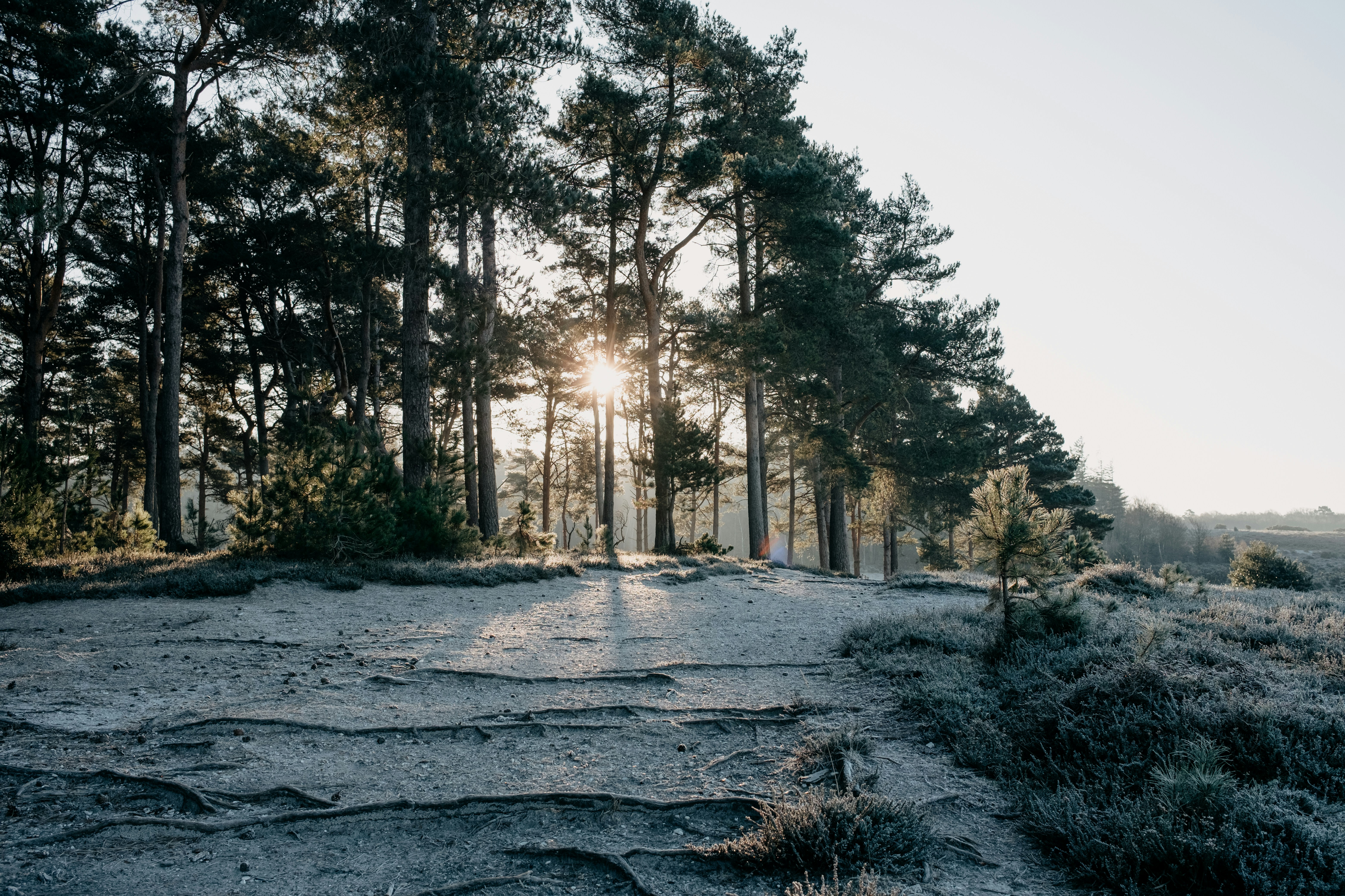 Photo by anniespratt