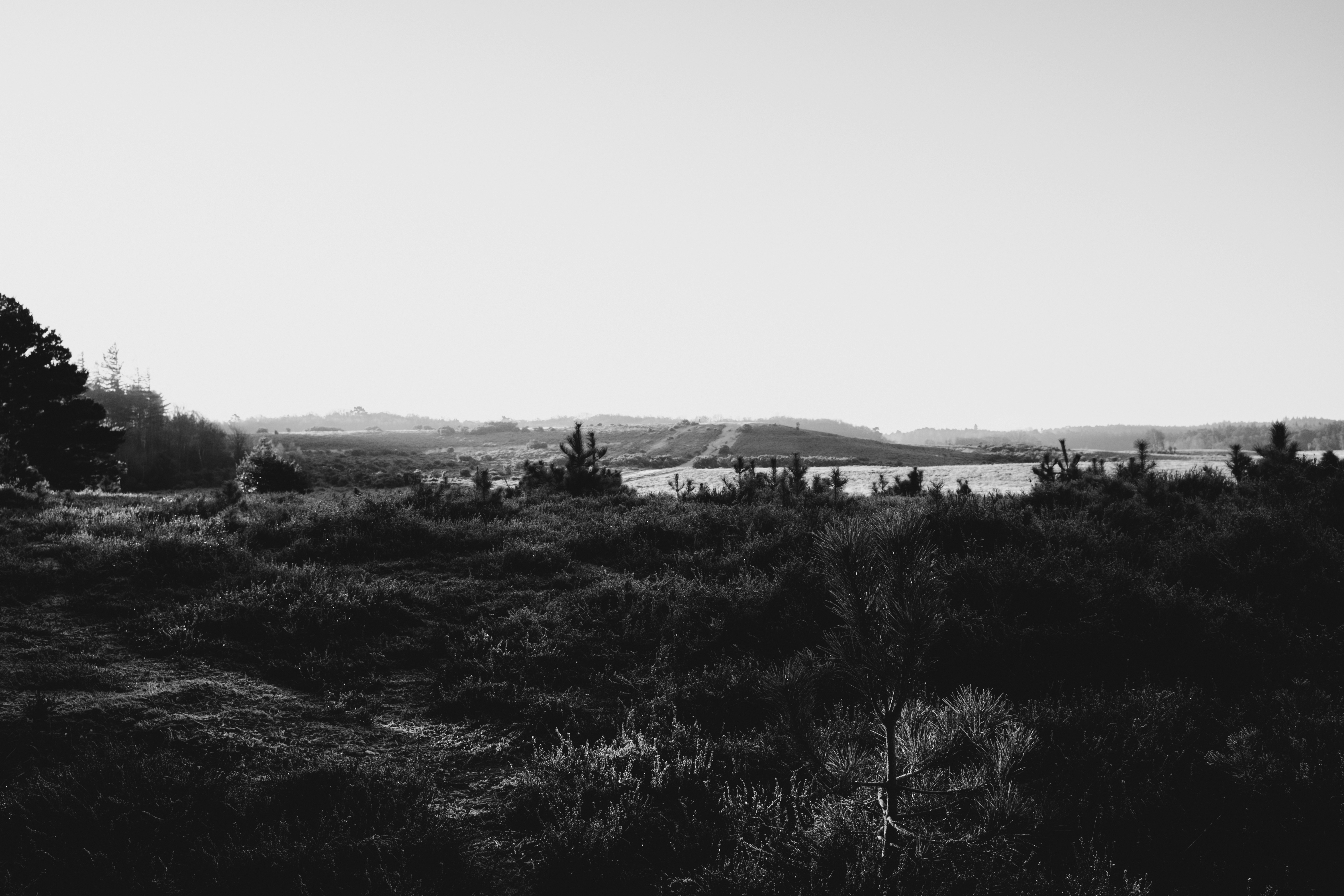 Photo by anniespratt