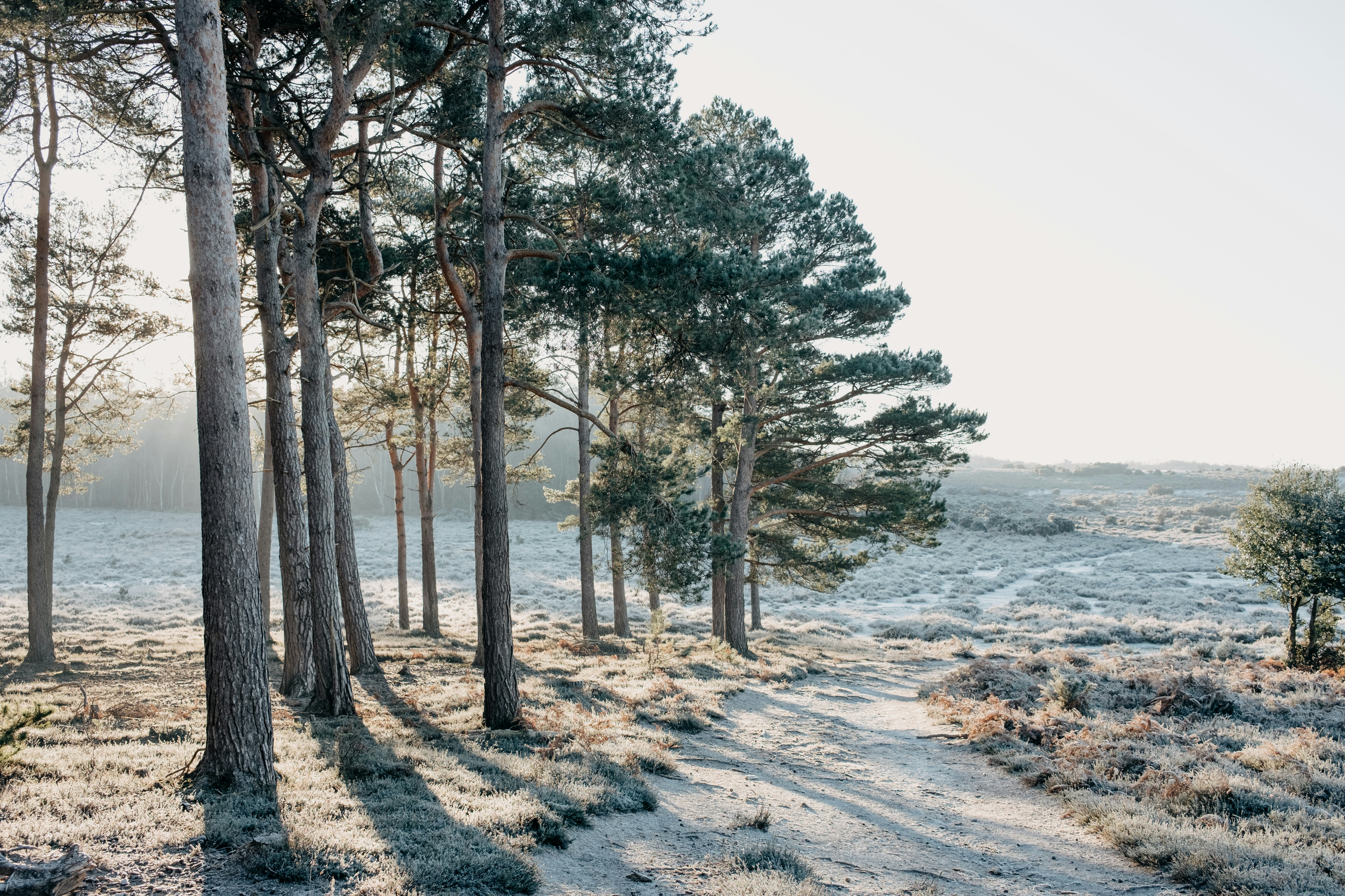 Photo by anniespratt