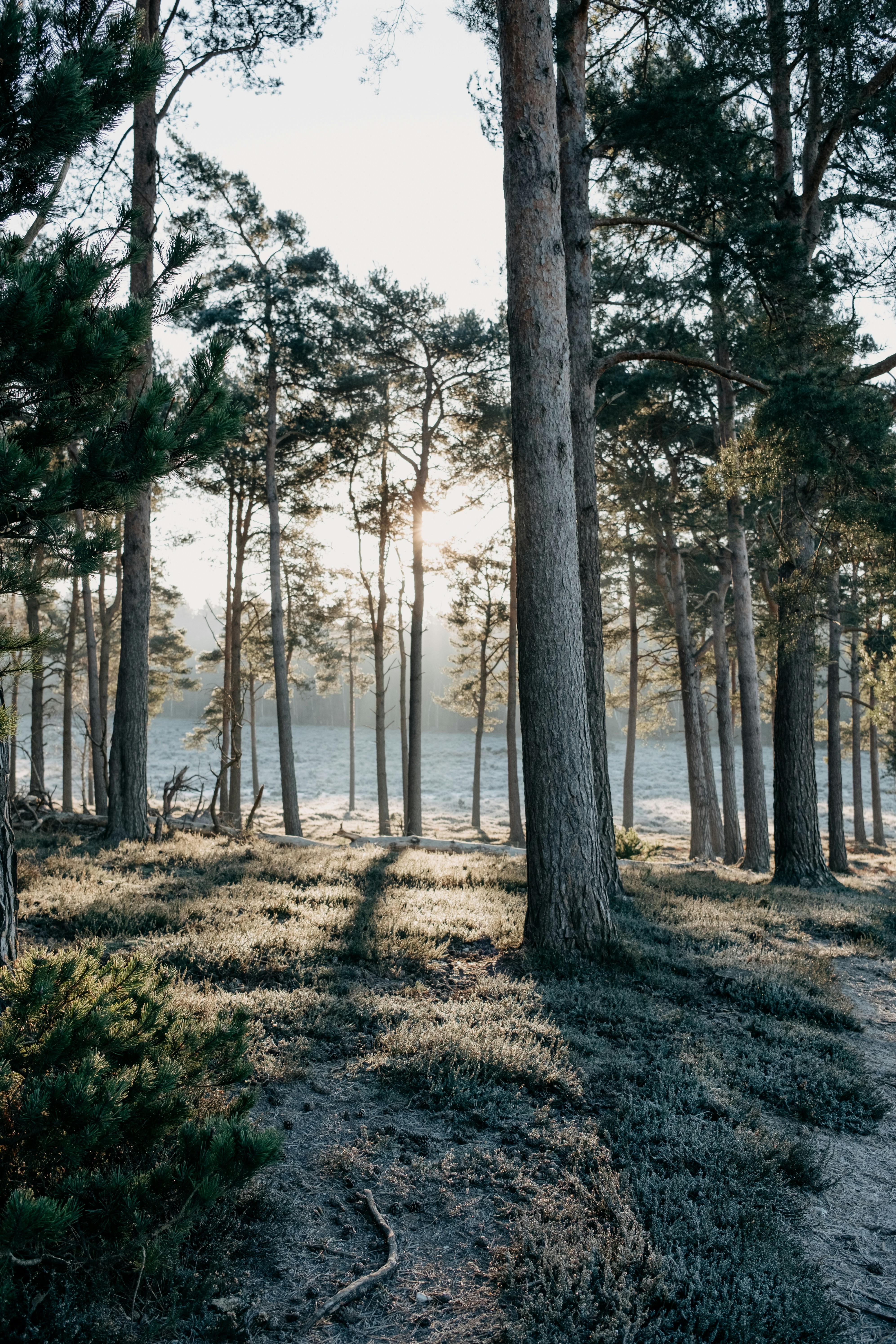 Photo by anniespratt