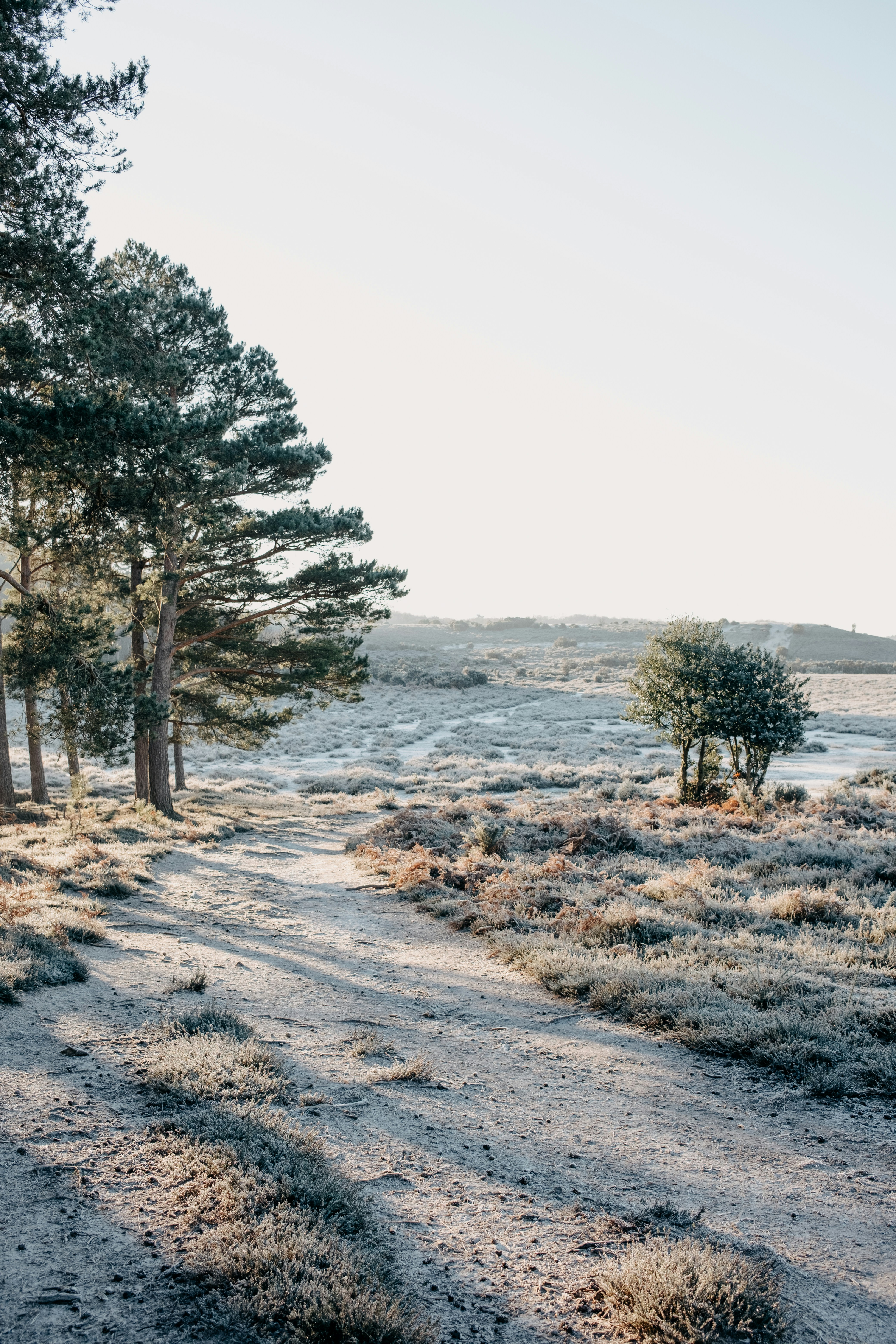 Photo by anniespratt