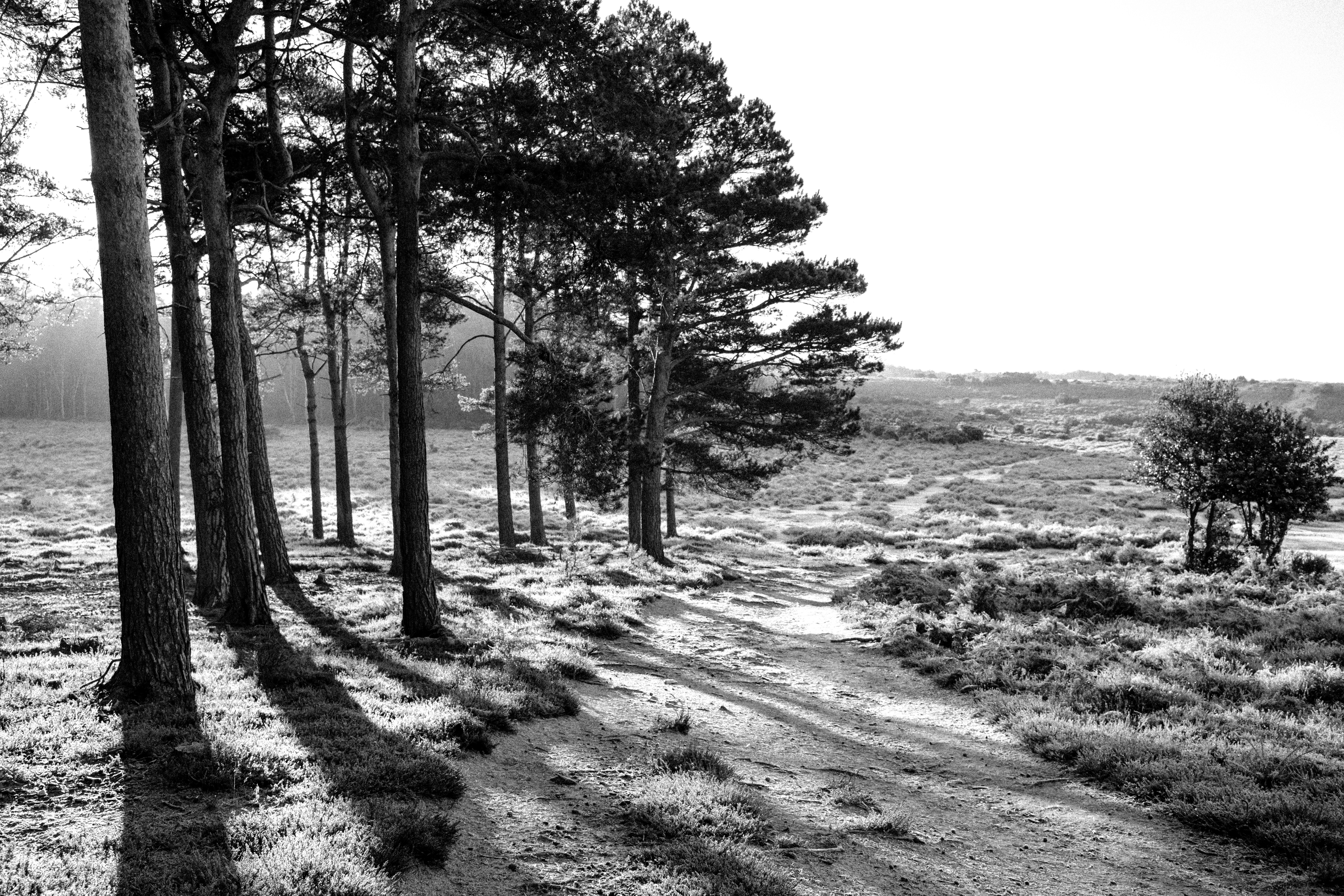 Photo by anniespratt