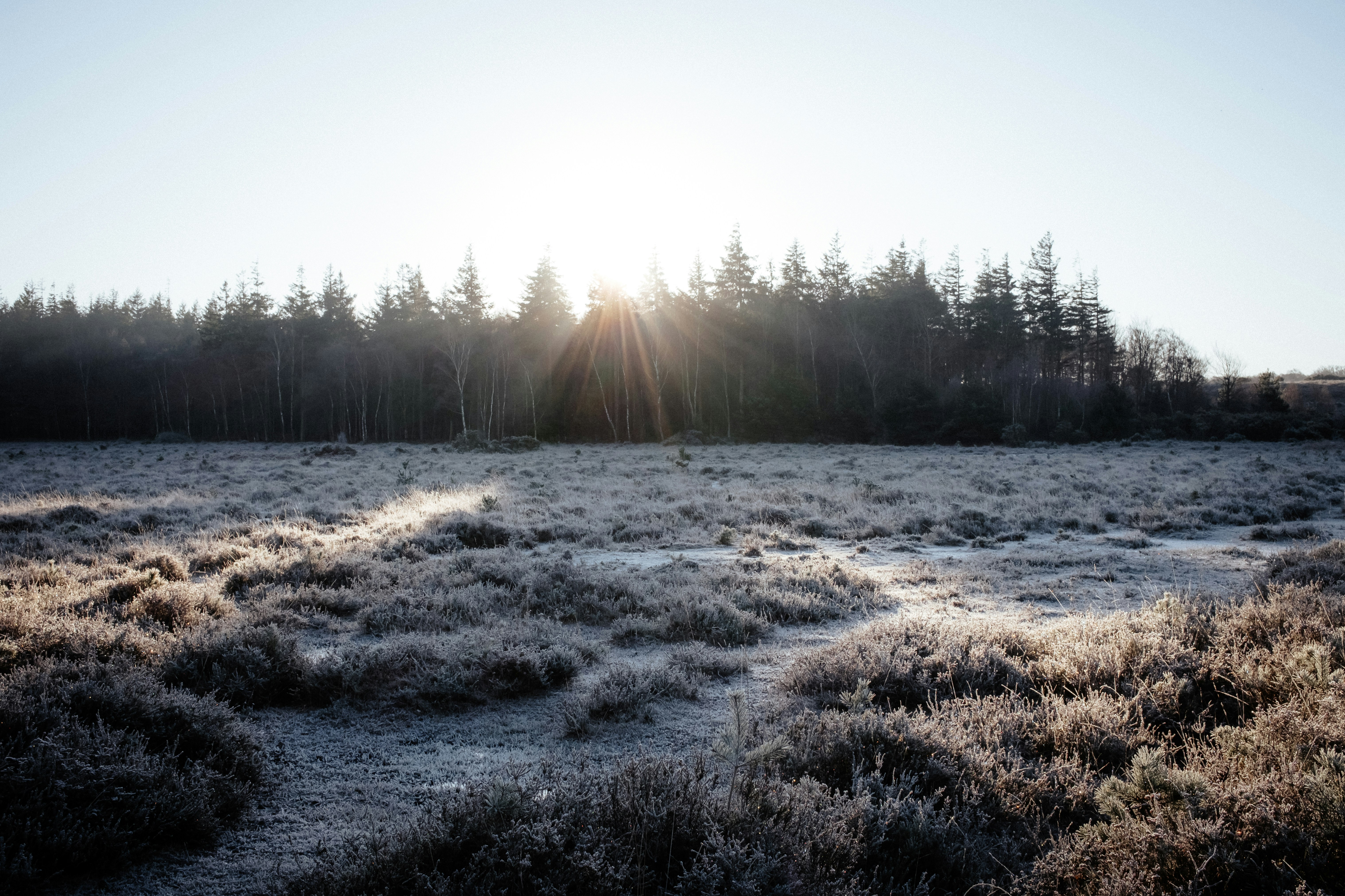 Photo by anniespratt