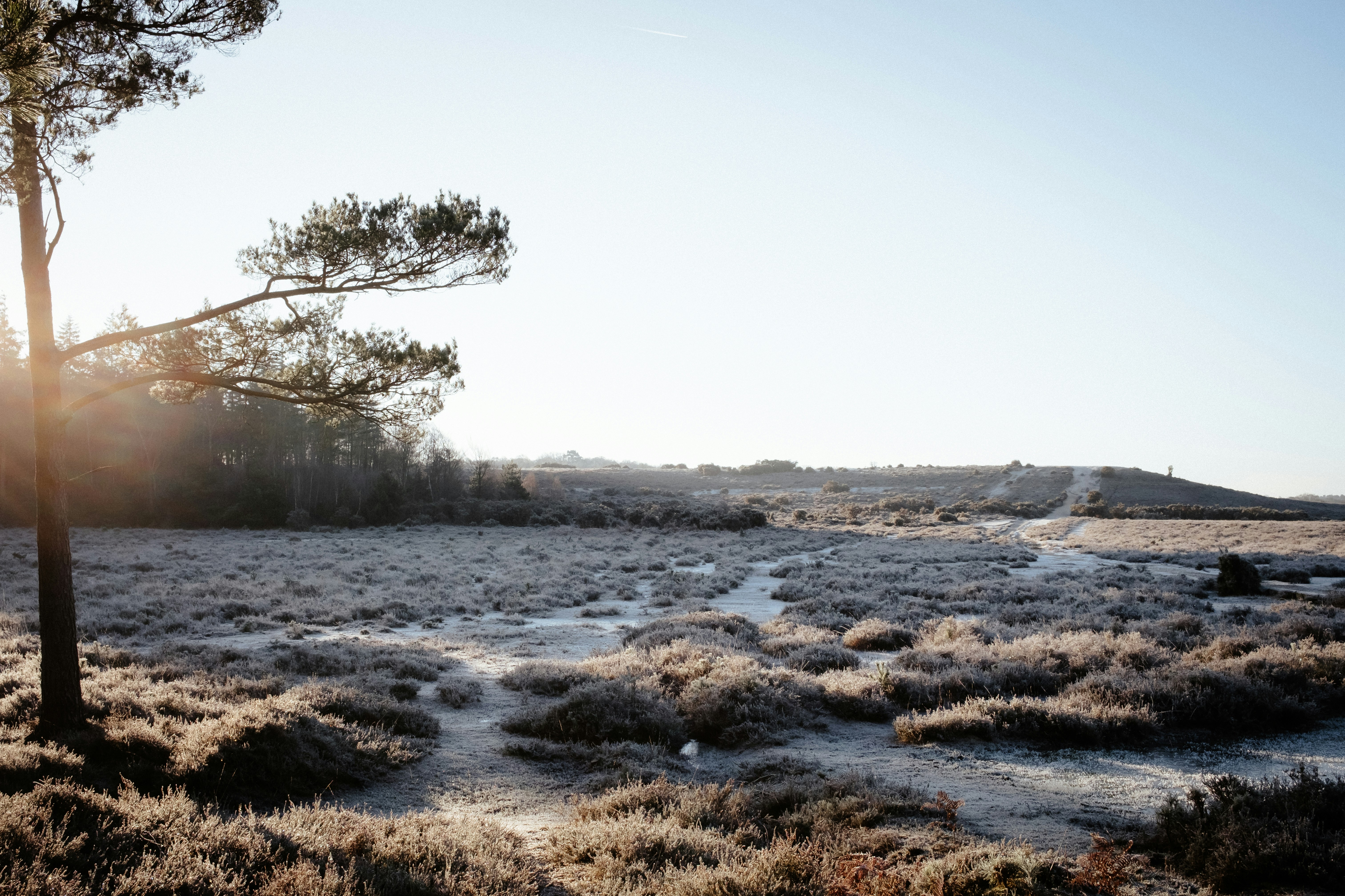 Photo by anniespratt