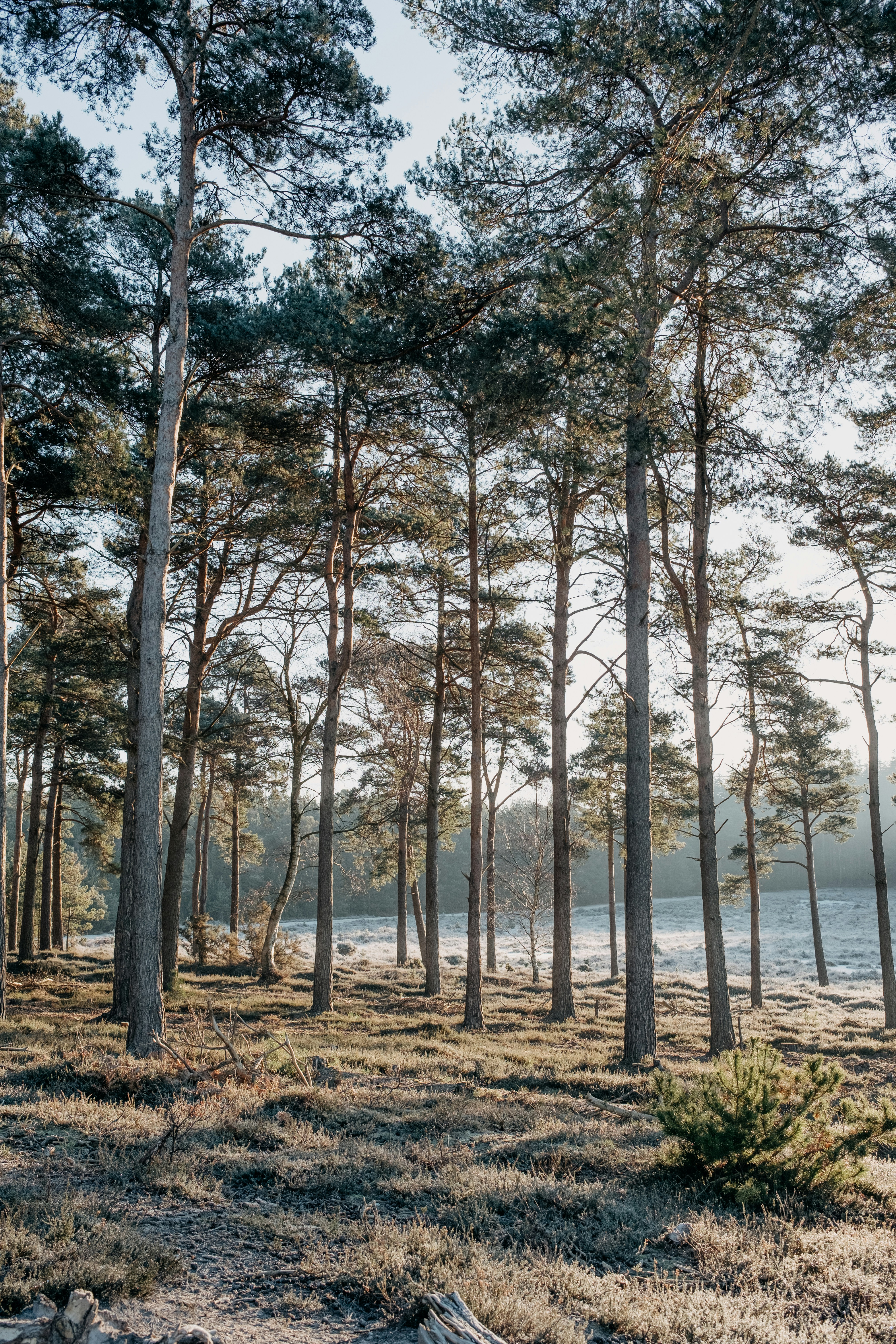 Photo by anniespratt