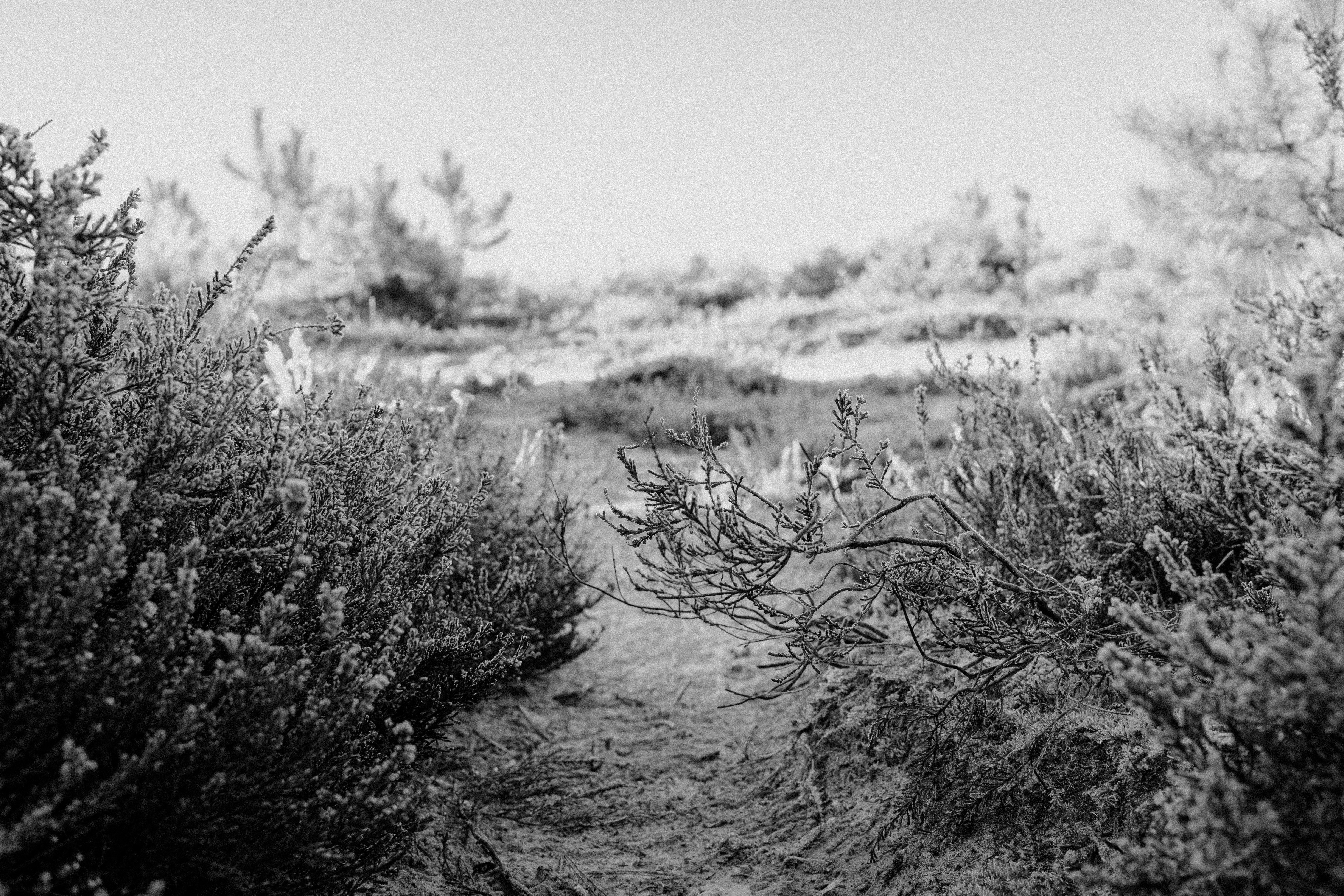 Photo by anniespratt