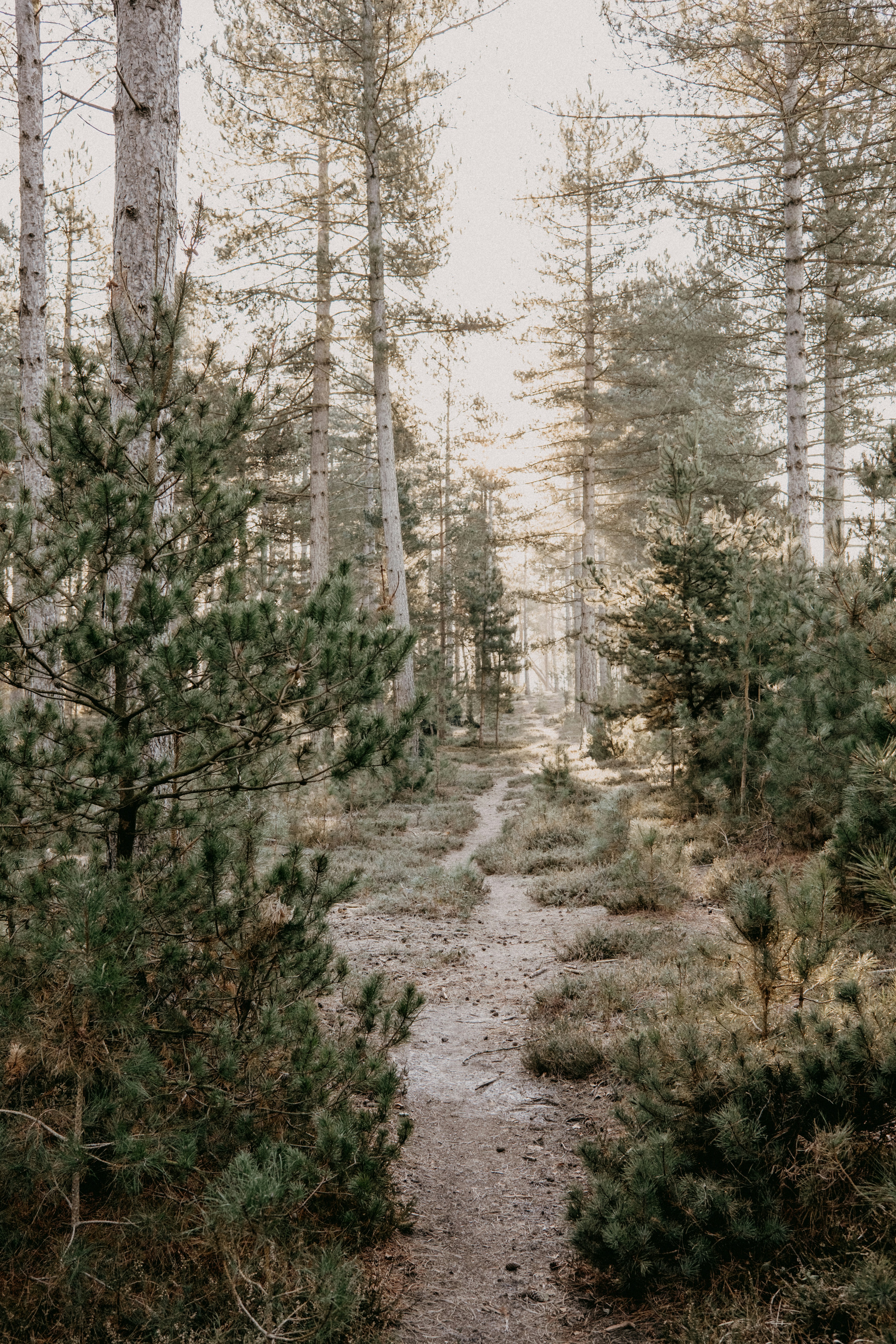 Photo by anniespratt