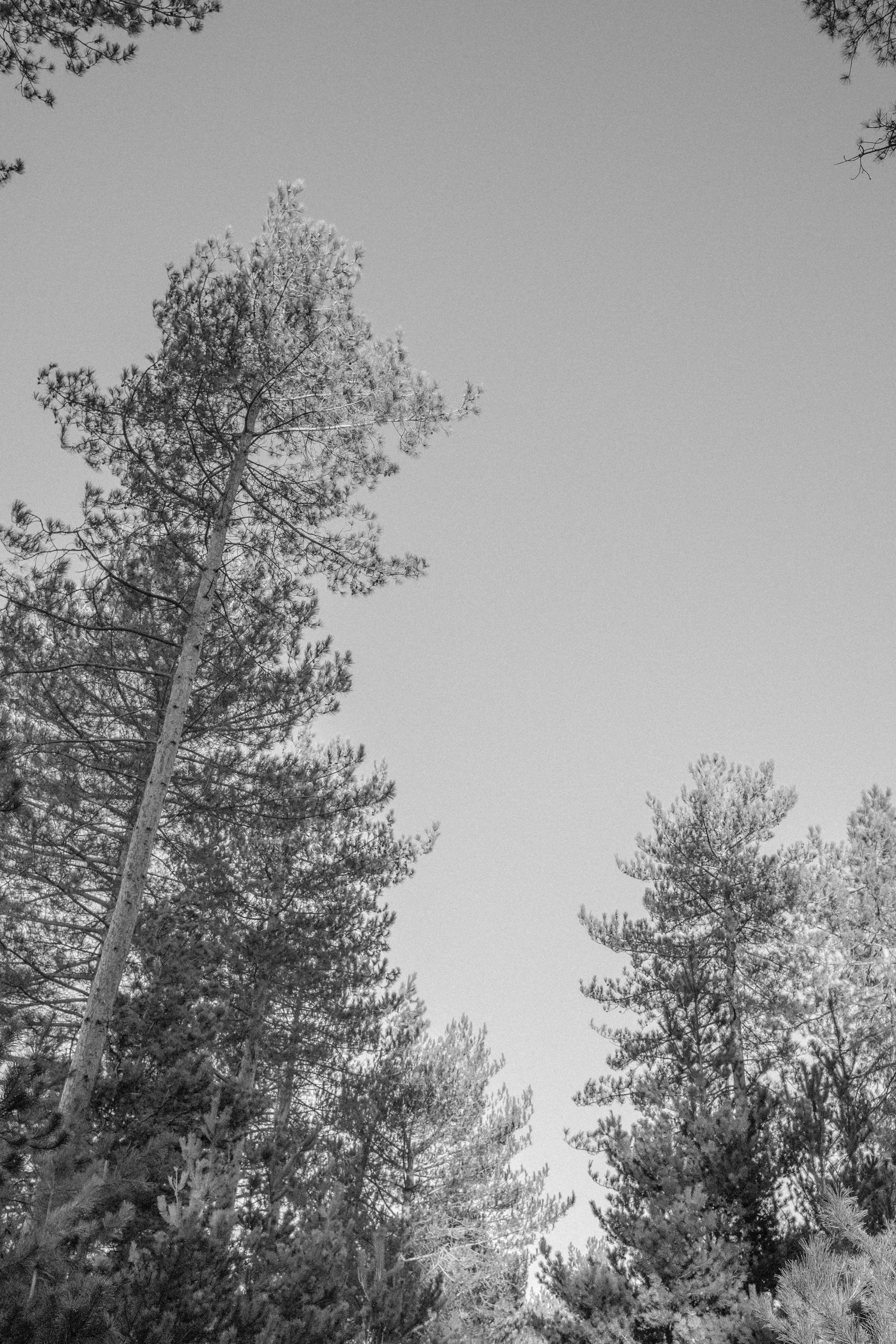 Photo by anniespratt