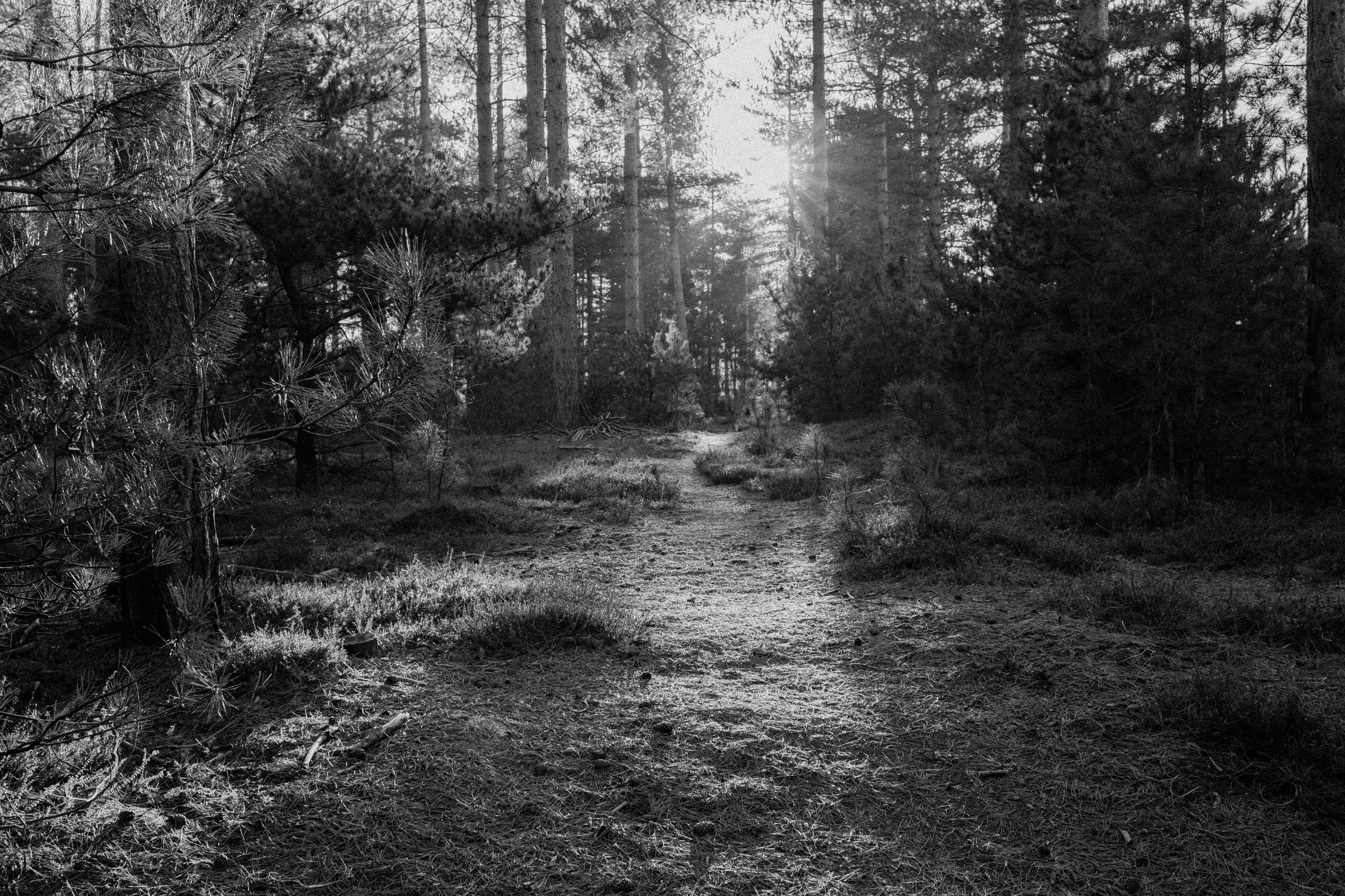 Photo by anniespratt