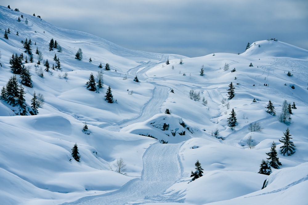 ein schneebedeckter Berg, durch den eine Straße führt