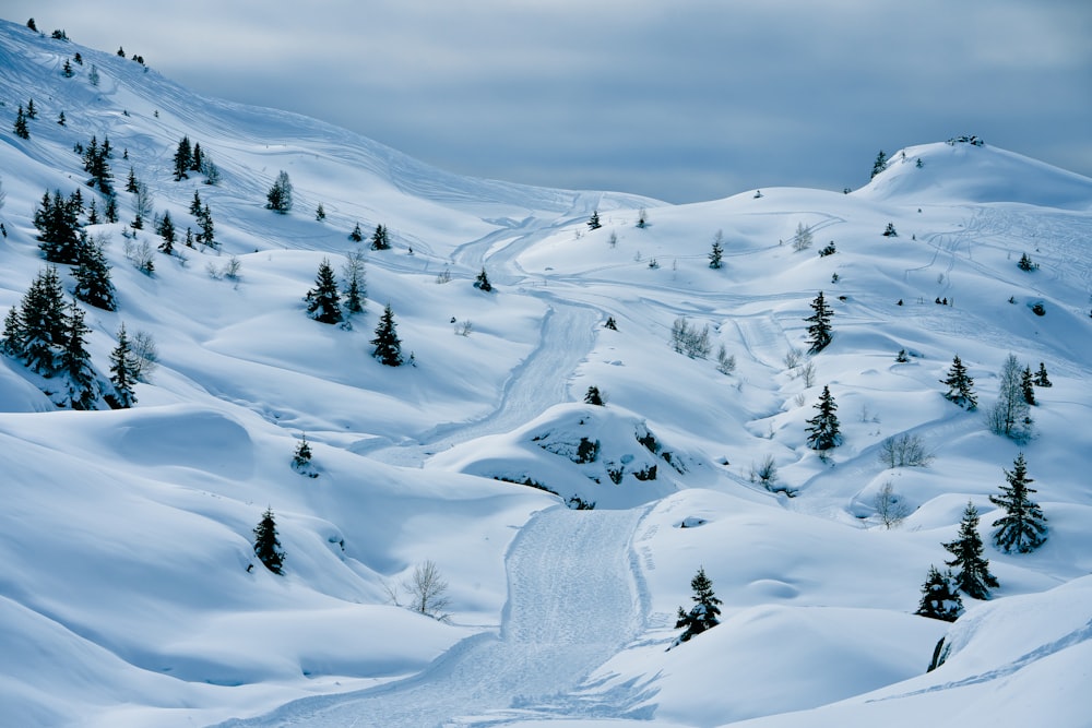 a snow covered mountain with a road going through it