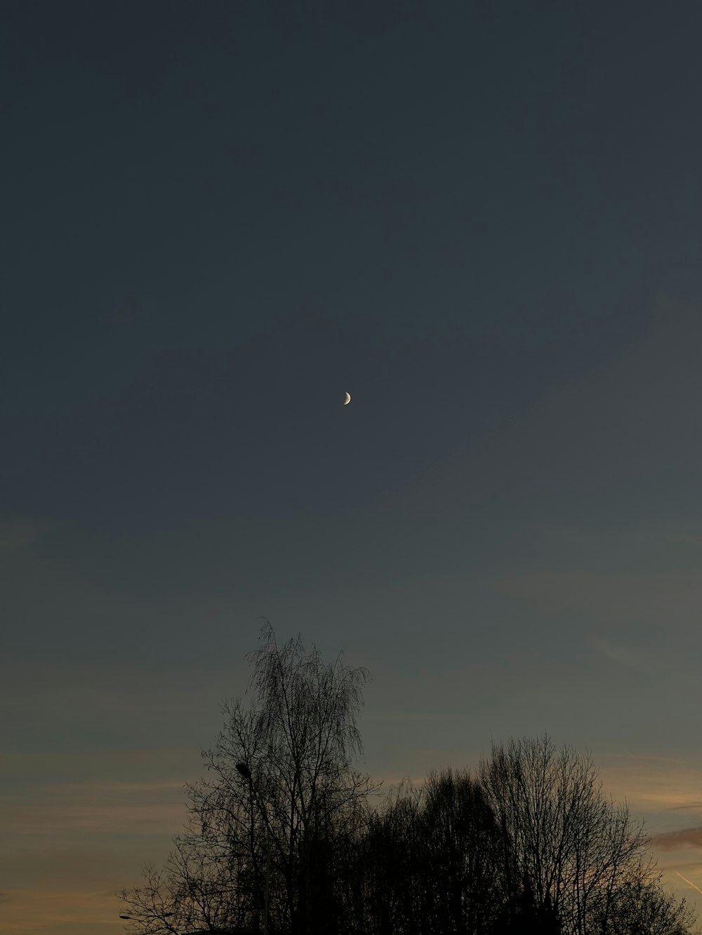 the moon is setting in the sky over the trees