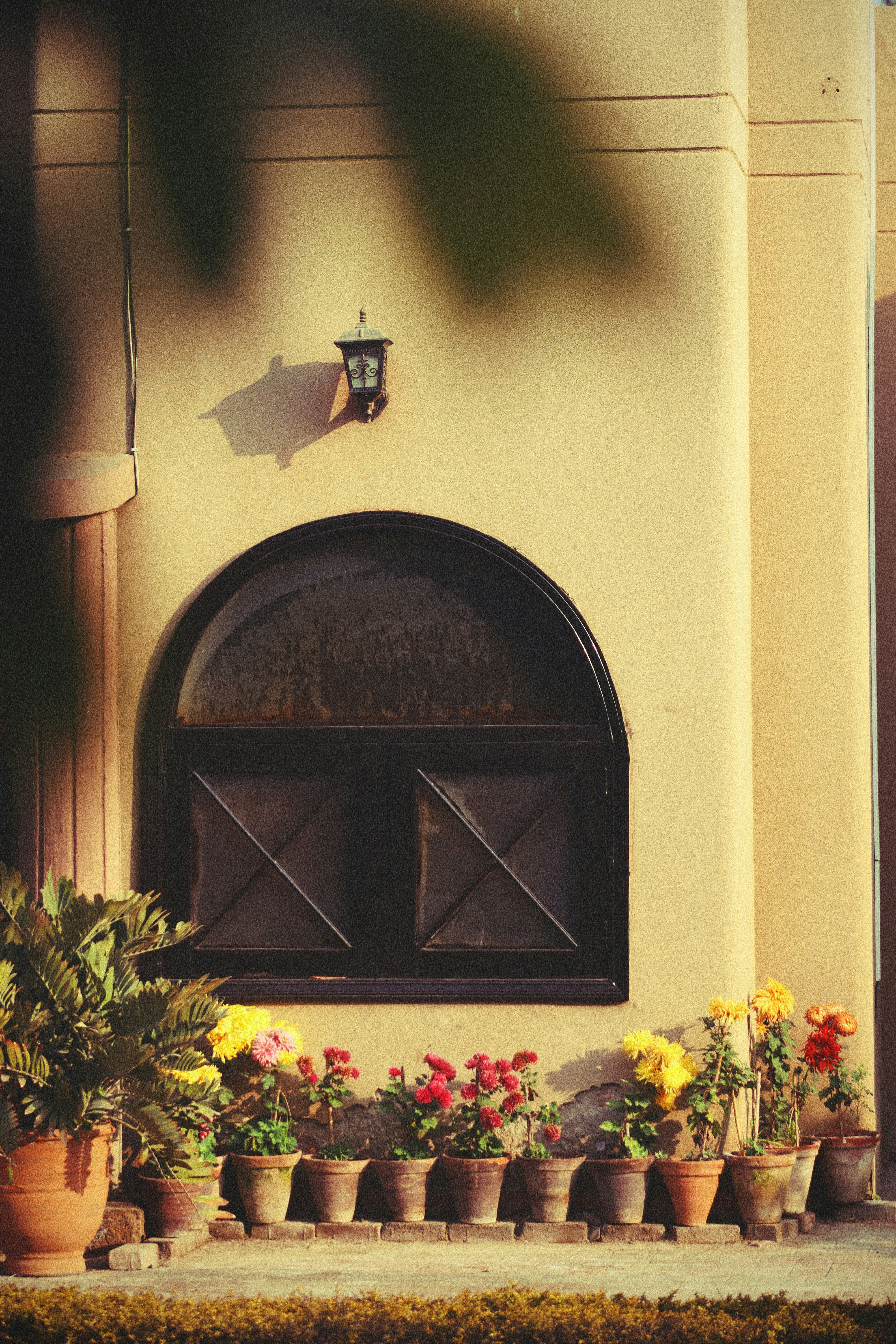 Photo by drphotographer152