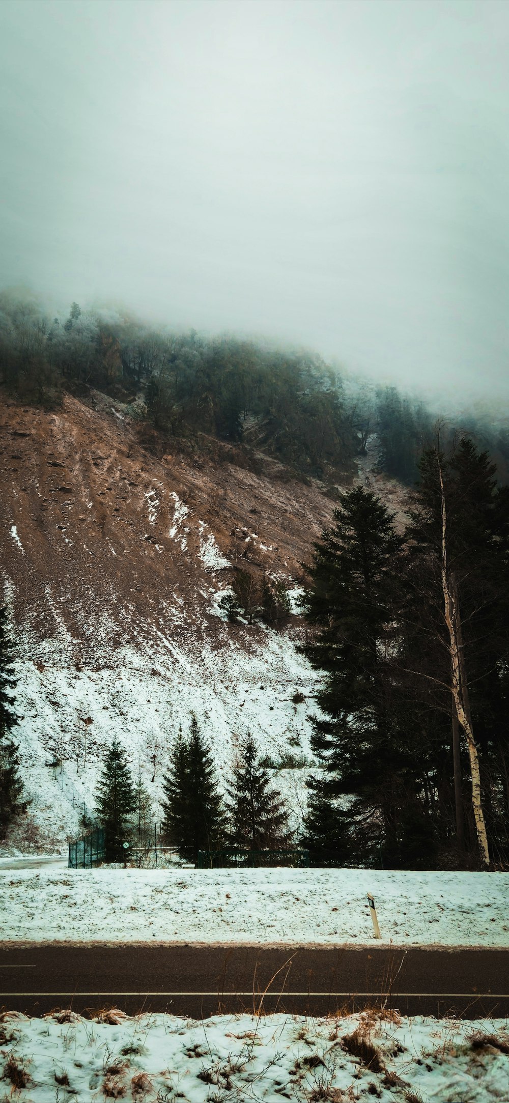 a snow covered mountain with trees on the side of it