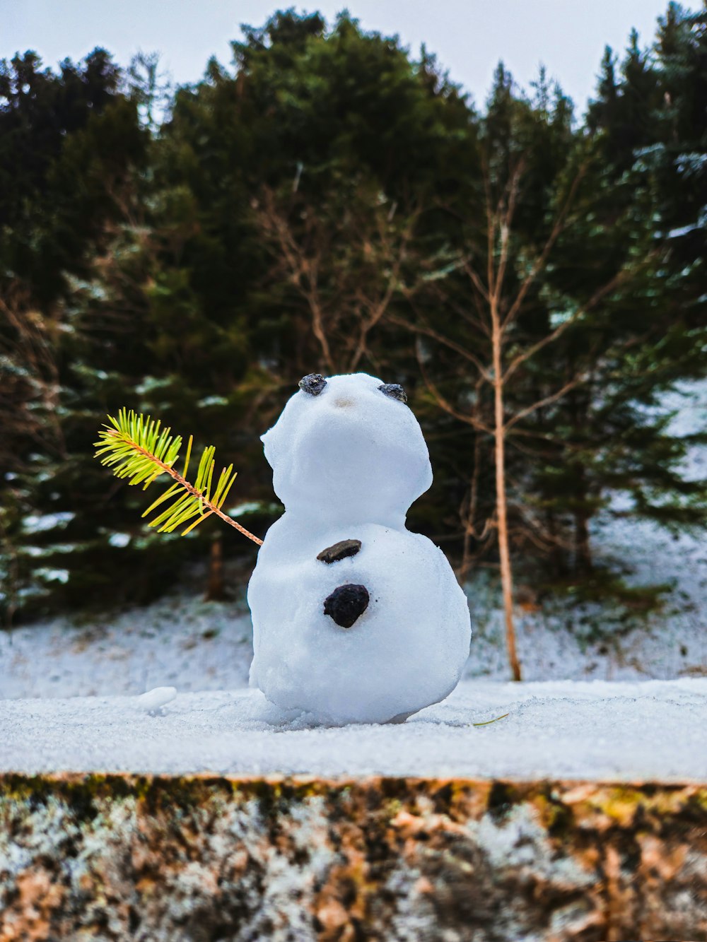 a snowman with a pine branch in his mouth