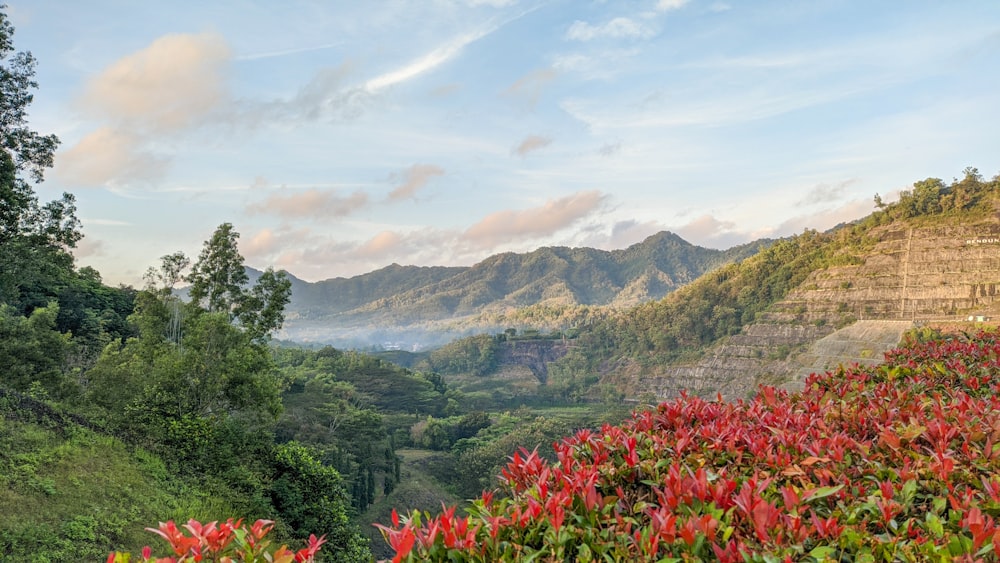 a scenic view of a valley with mountains in the background