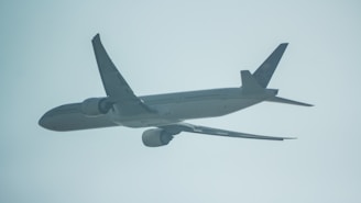 envios a panama de singapur aereo