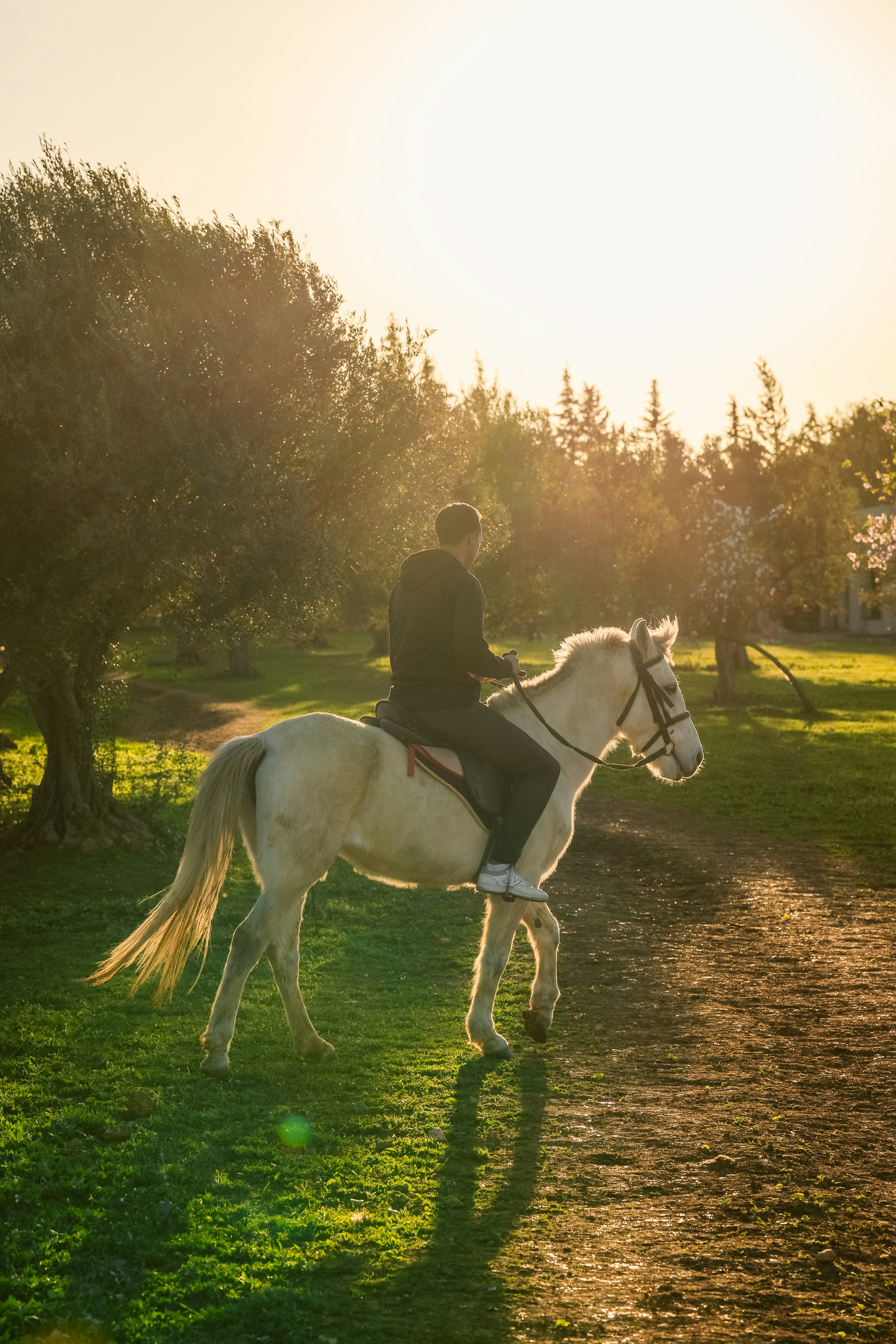 Photo by himo_beast1996