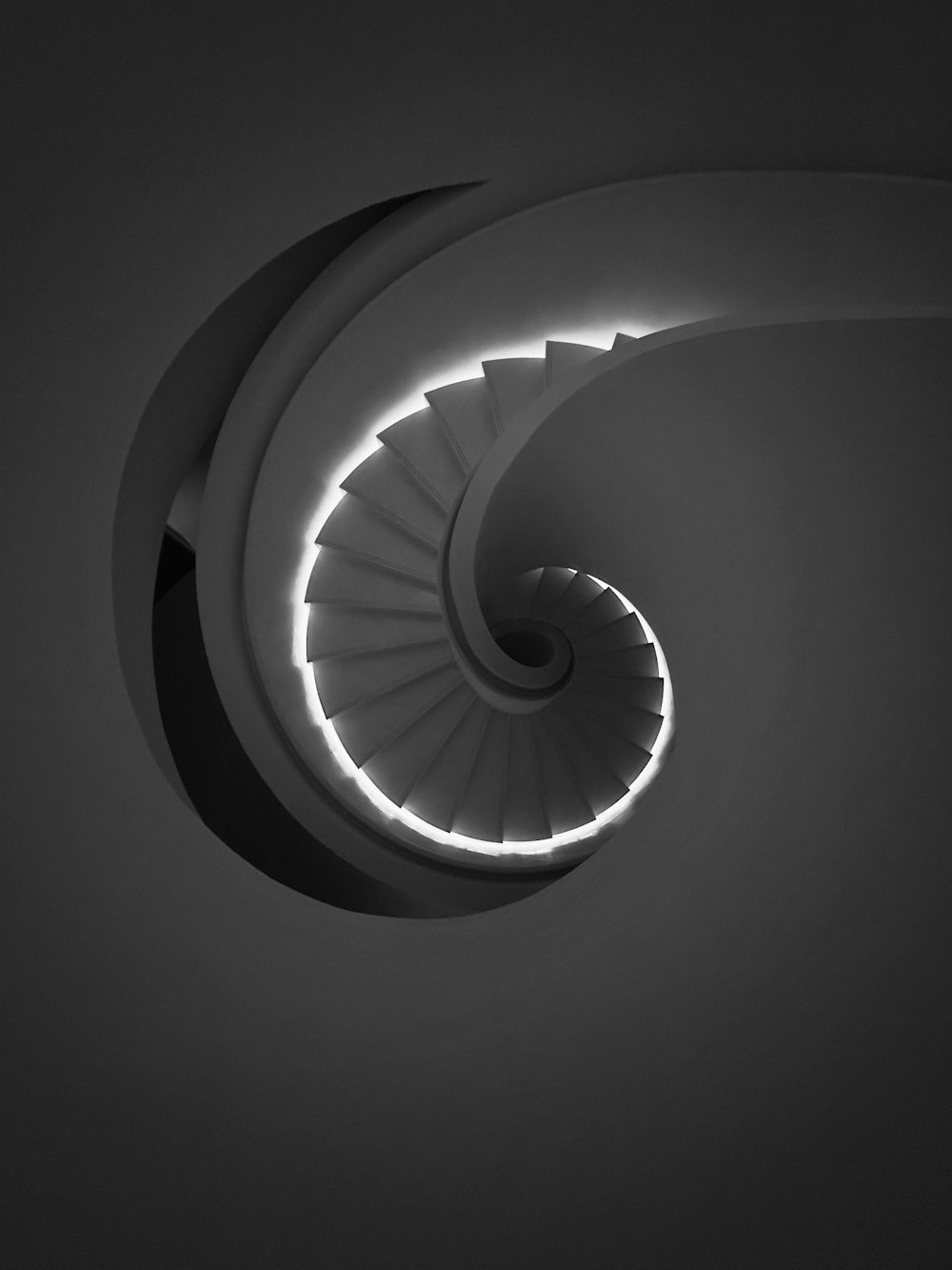 a black and white photo of a spiral staircase