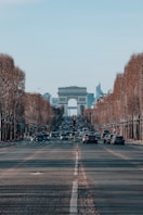 a city street lined with trees and a traffic light