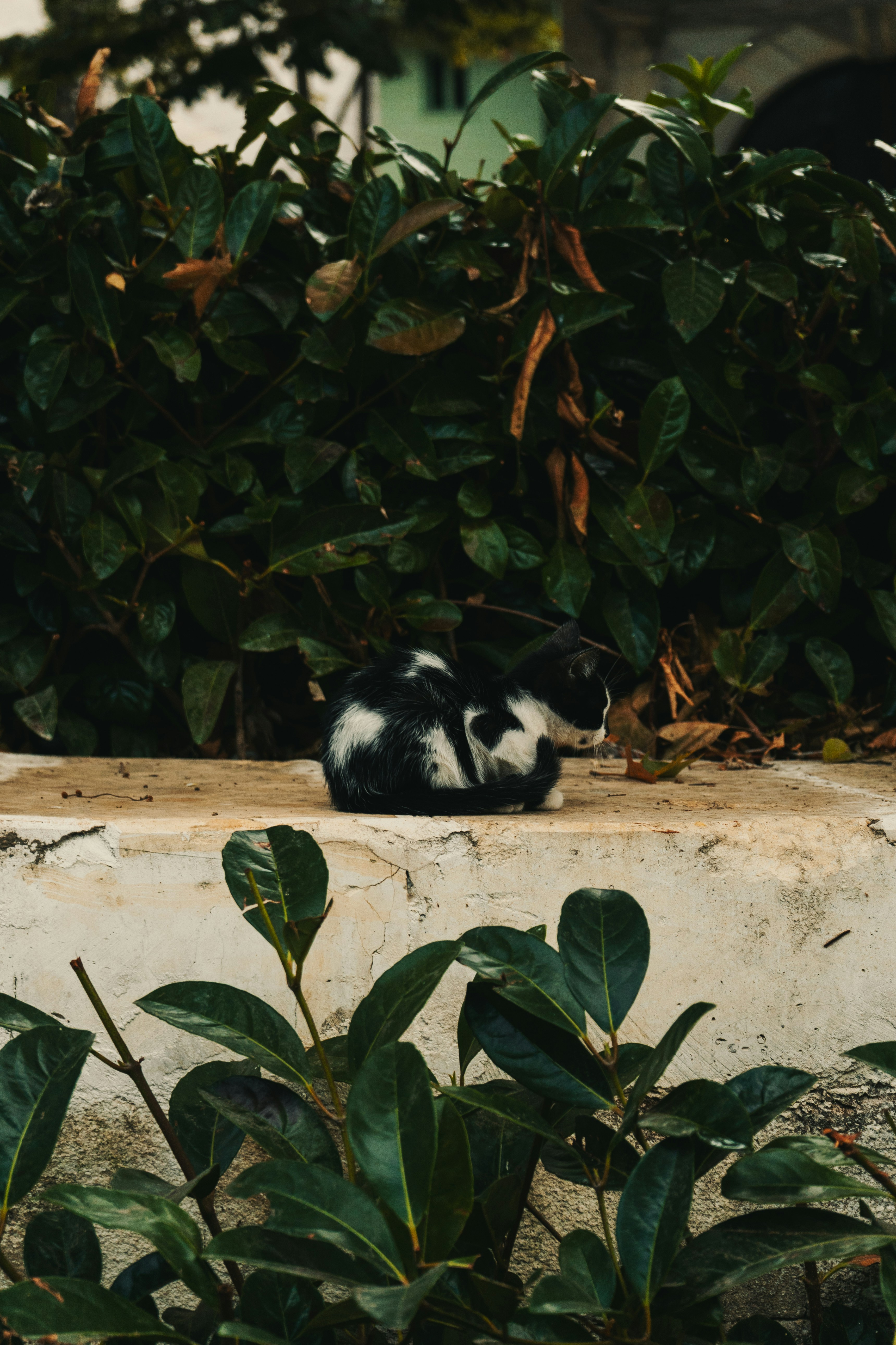 Photo by maxim_klimashin