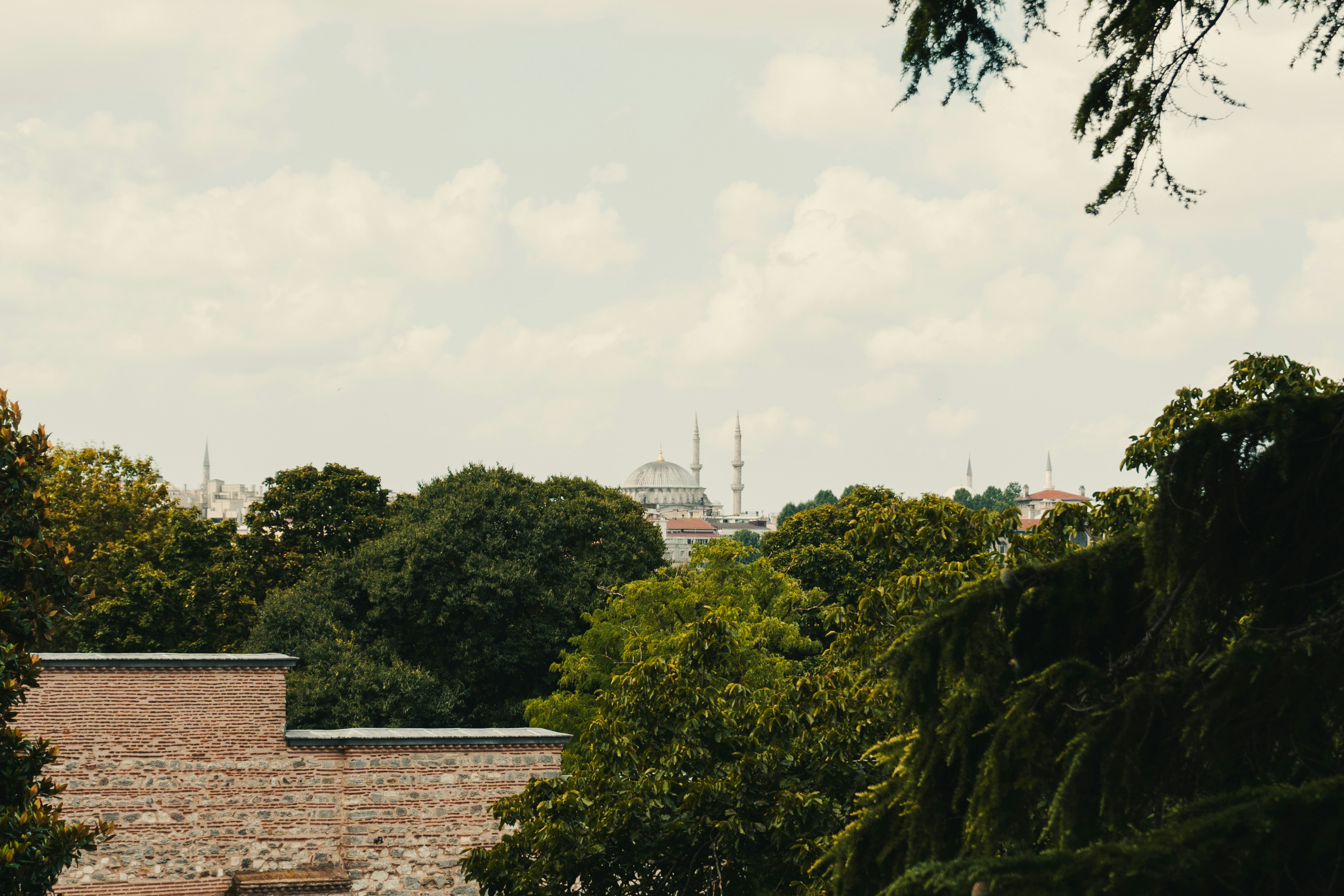 Photo by maxim_klimashin