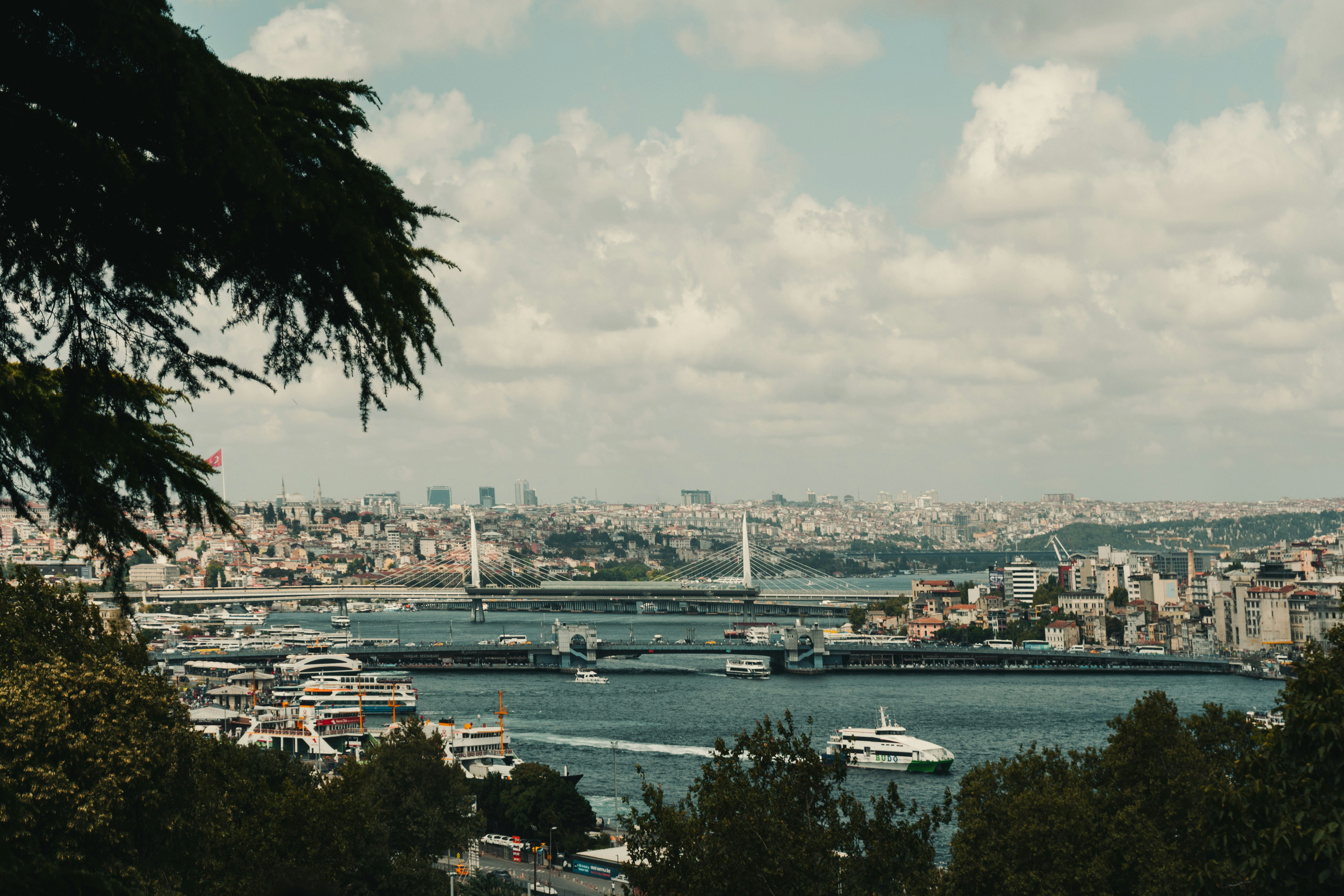 Photo by maxim_klimashin