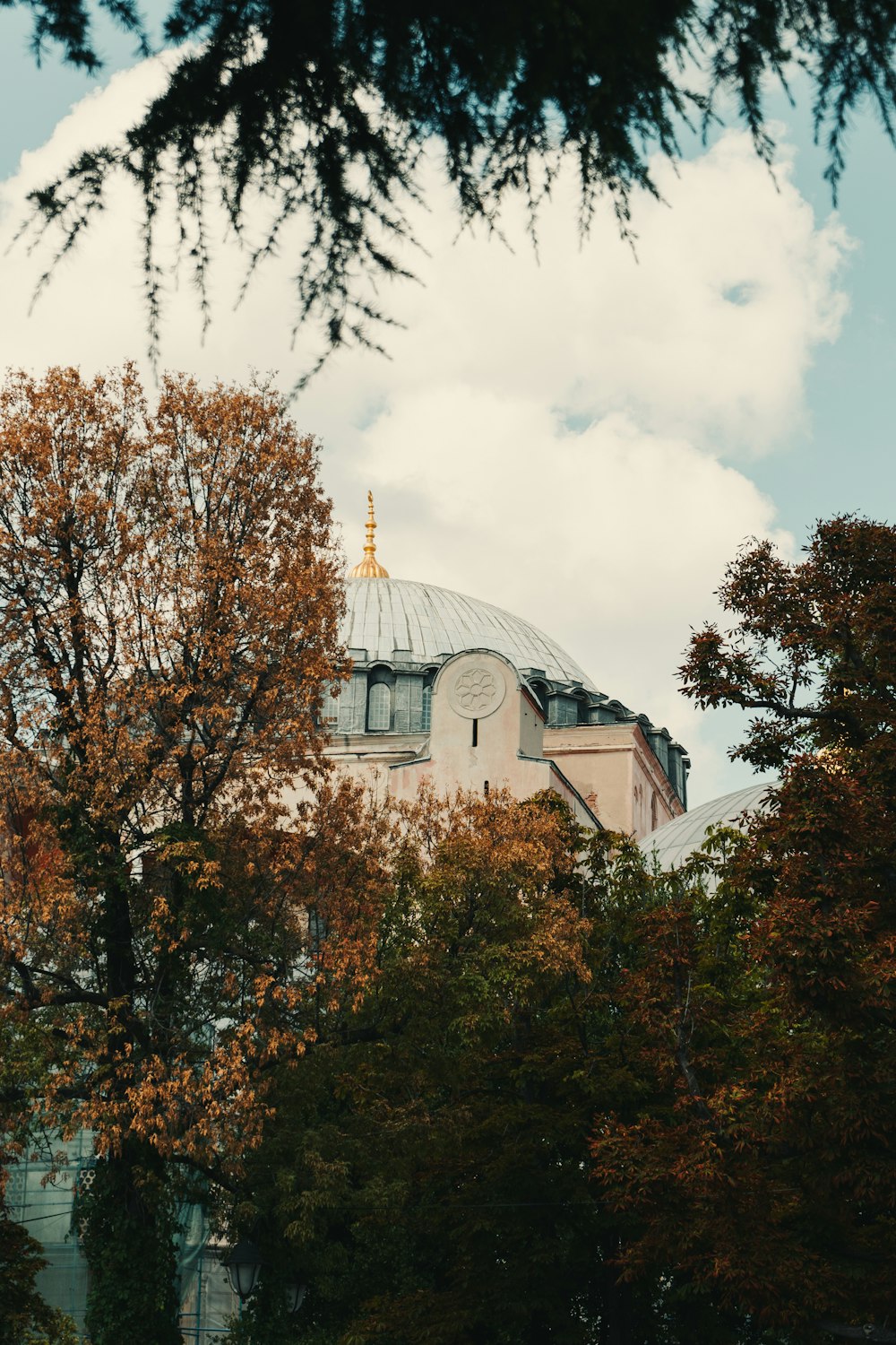 a building with a domed roof surrounded by trees