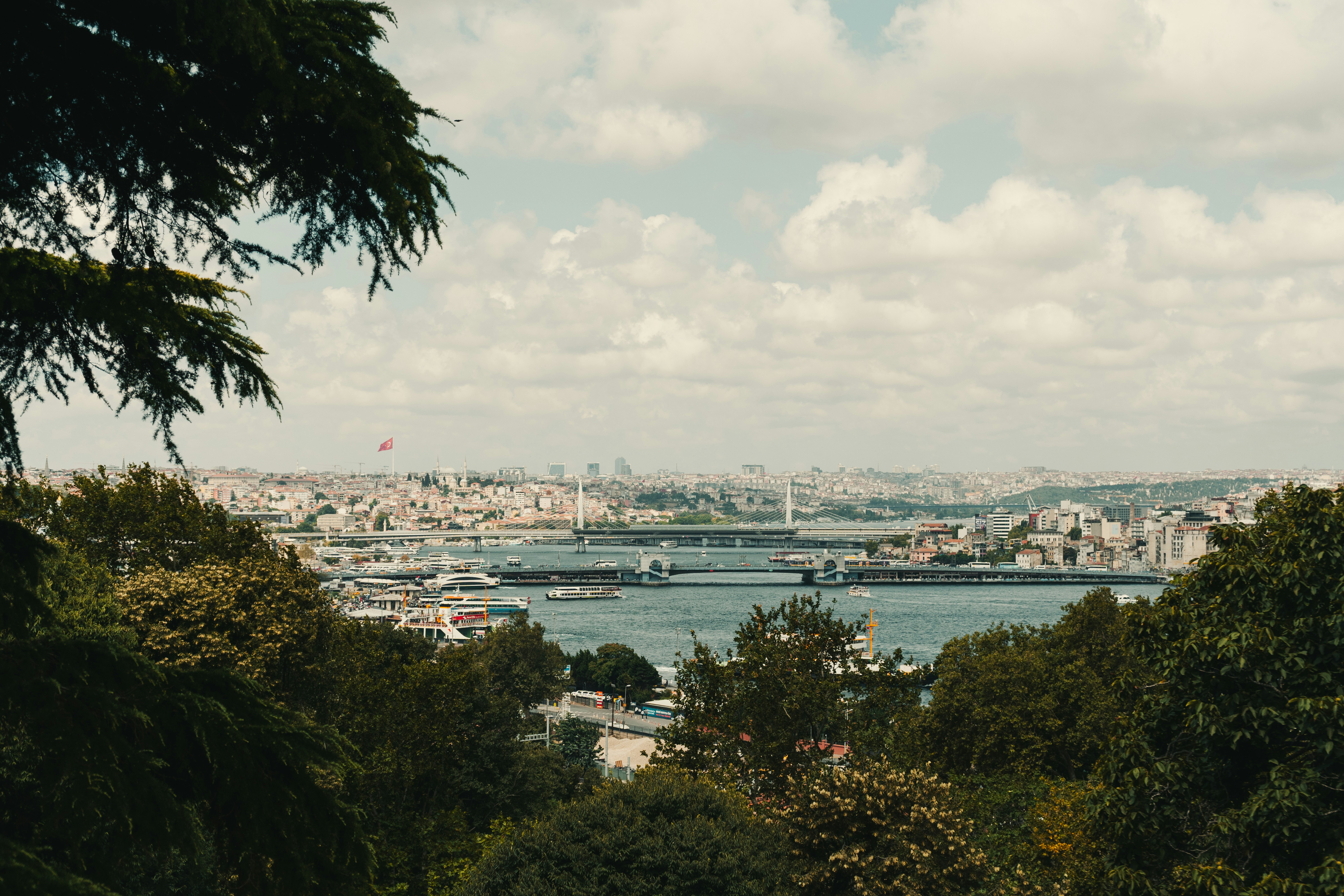 Photo by maxim_klimashin