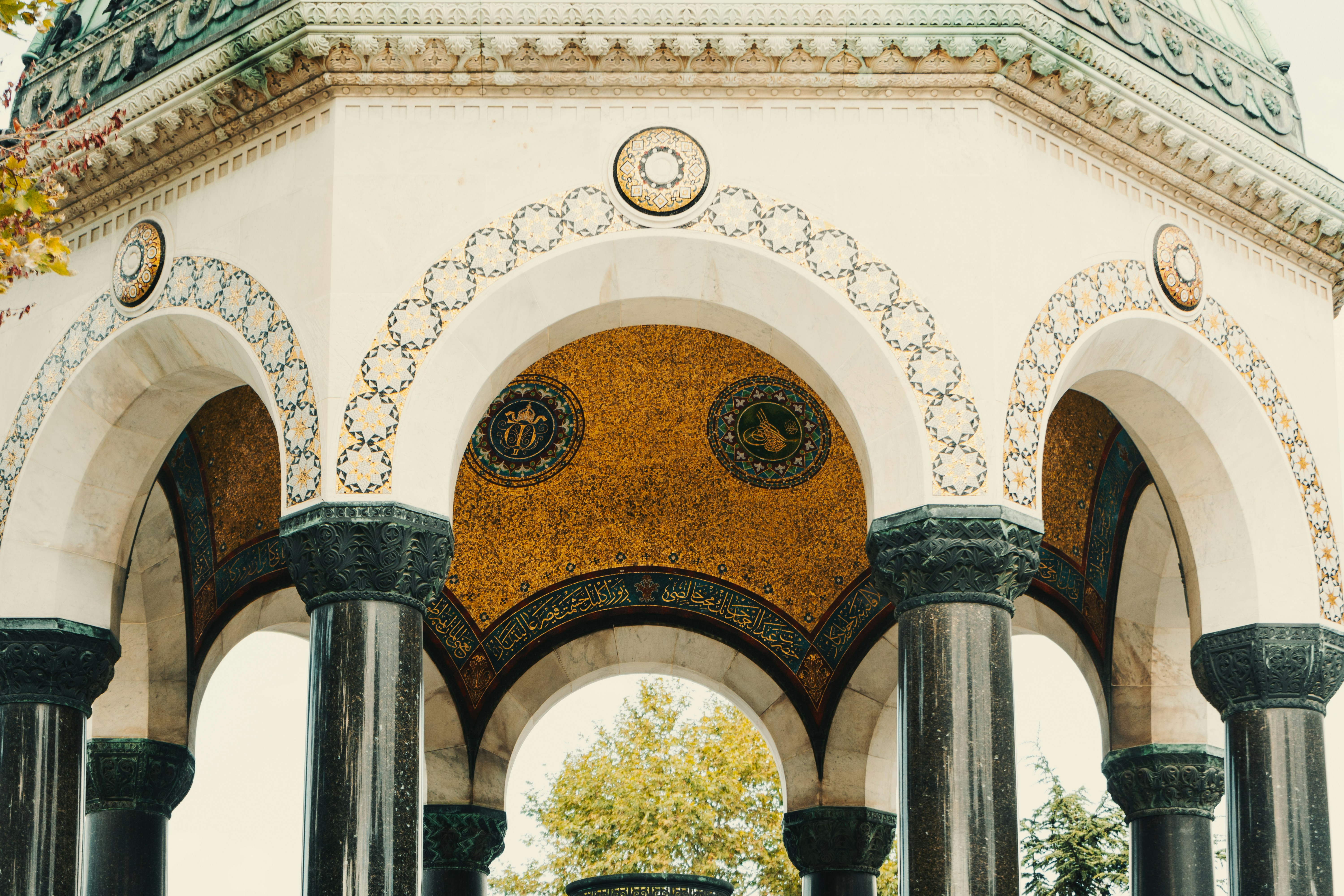 Photo by maxim_klimashin