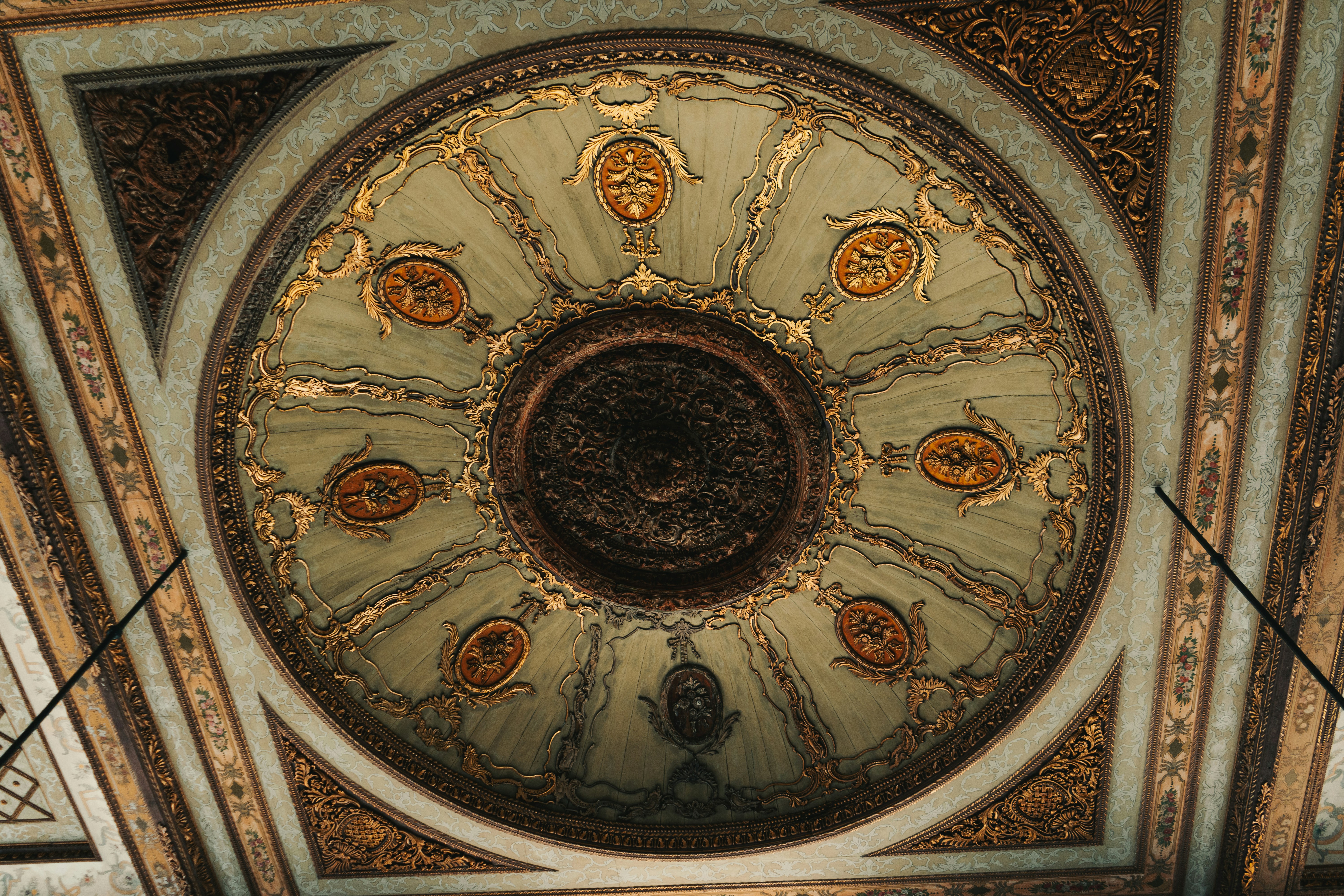 Photo by maxim_klimashin